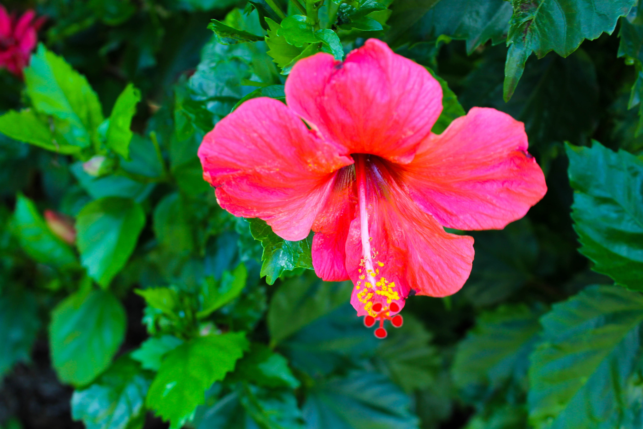 img_4284edit.jpg