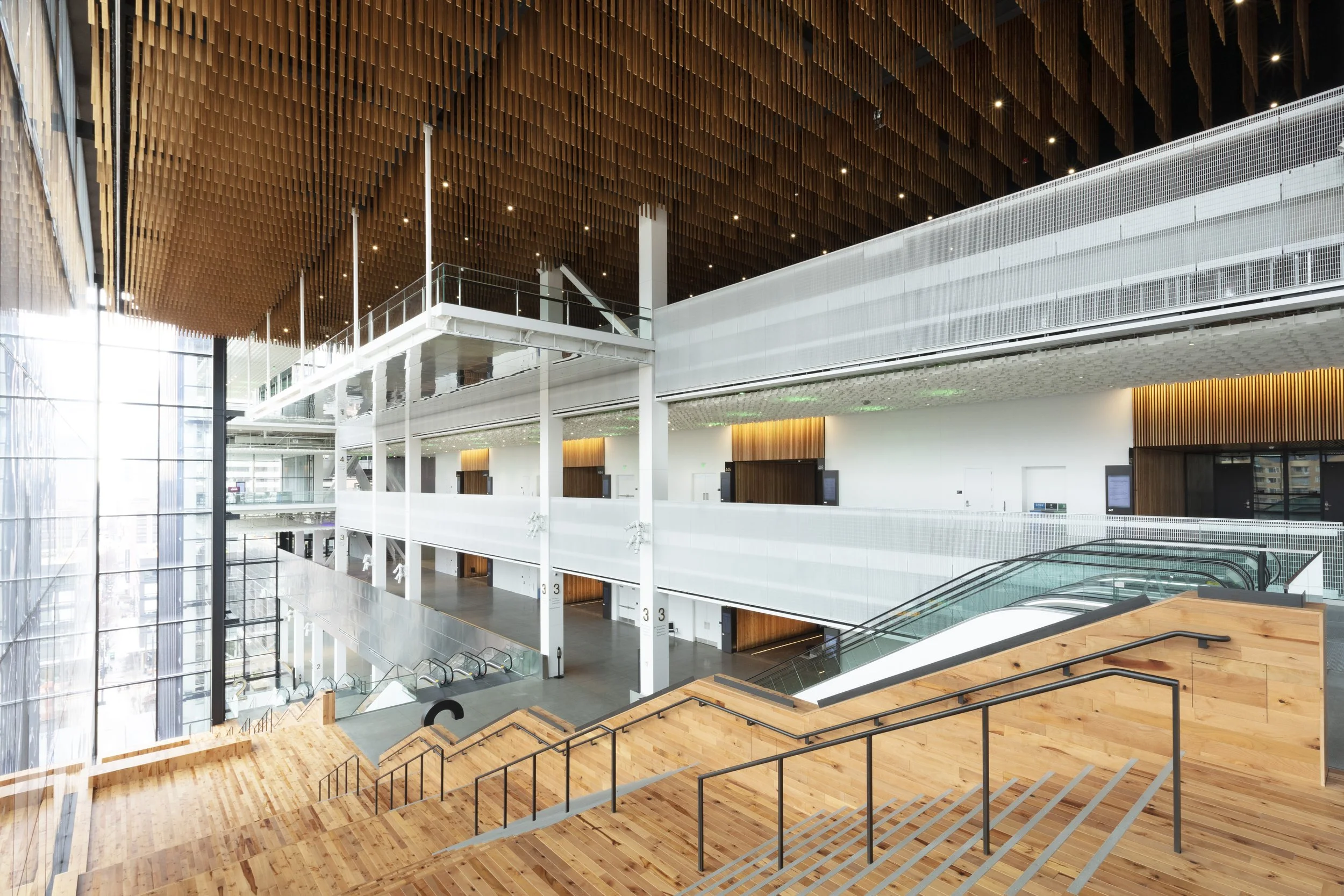 SCC_06.jpg