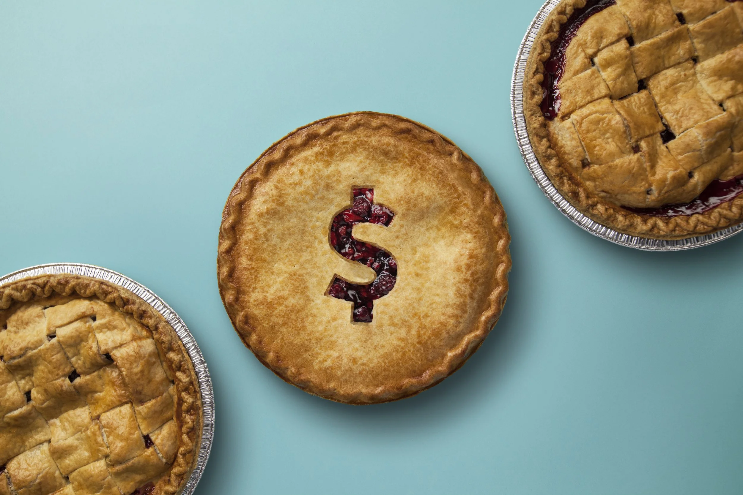 SDR_SR_Pies_0072.jpeg
