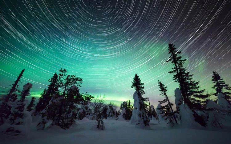 What do you notice most here of these interacting, pervasive systems: the show, the trees, the sky, the stars, Polaris around which they appear to orient? Image Credit: photographer Tiina Törmänen, from Layers magazine