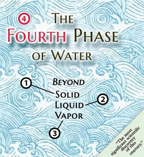 the-fourth-phase-of-water-dr-gerald-pollack.jpg