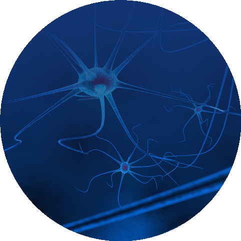 Synthetic Biology Standards