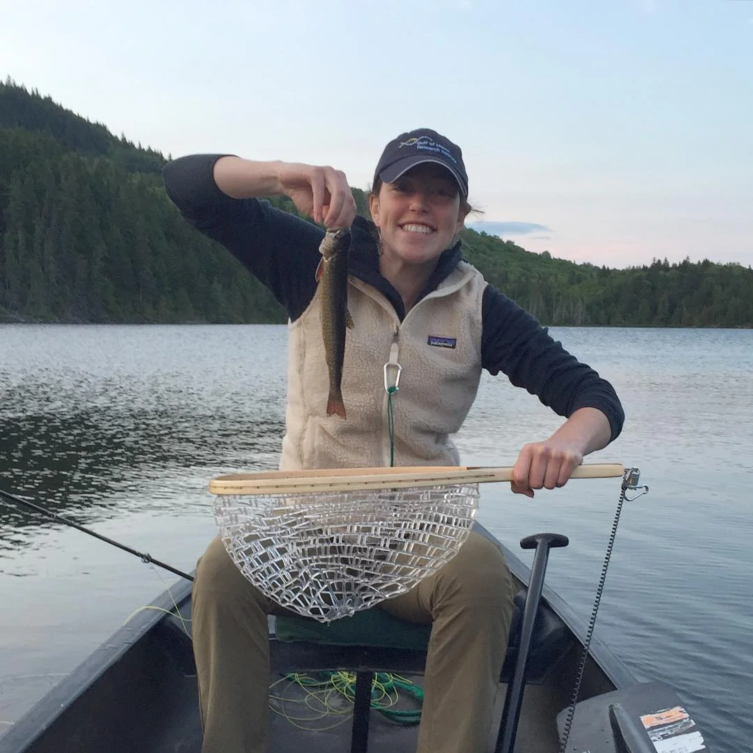 First brookie of an amazing evening Green Drake hatch in Aroostook County.