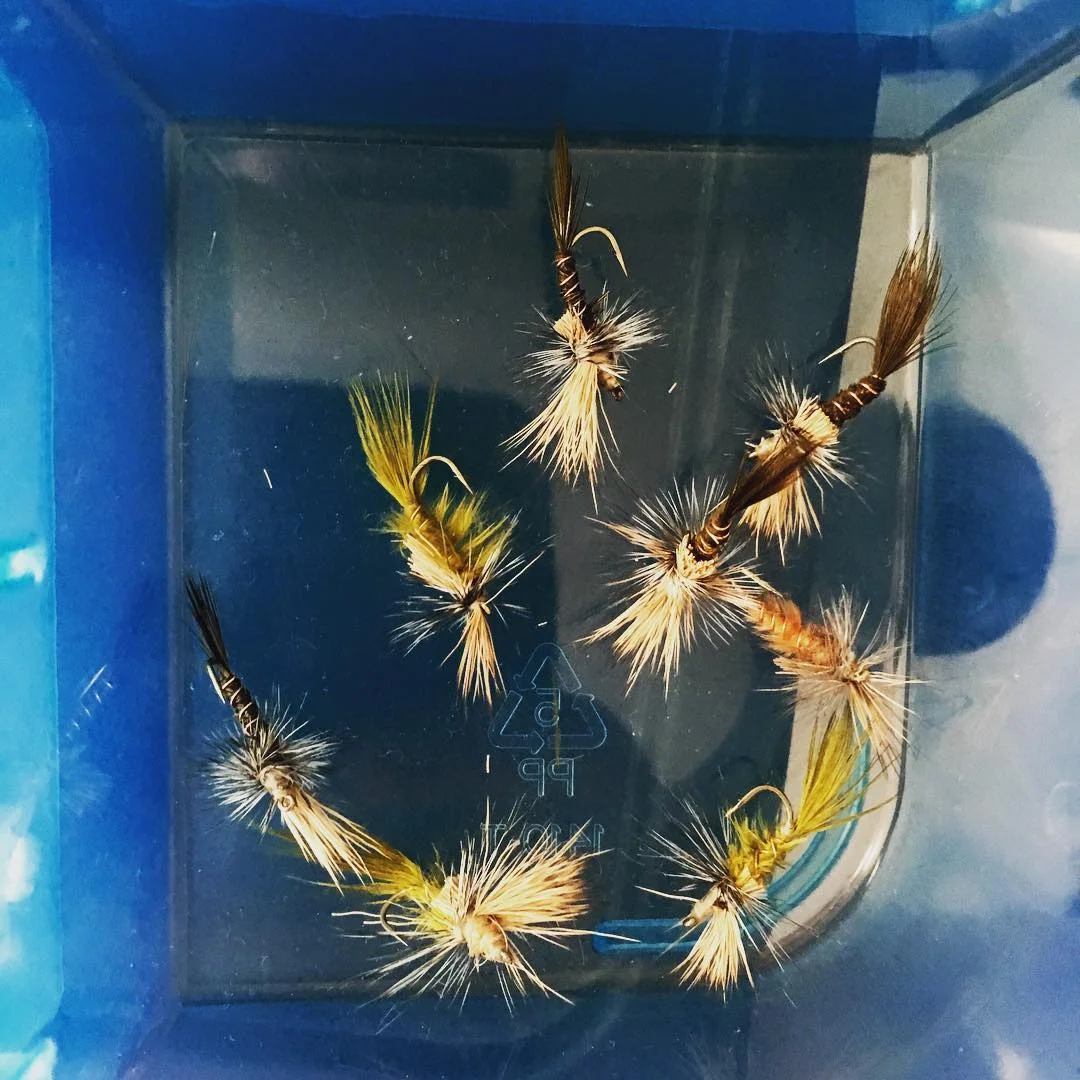 A few freshly tied Quiggley Cripples waiting for those glorious spring and summer evenings.