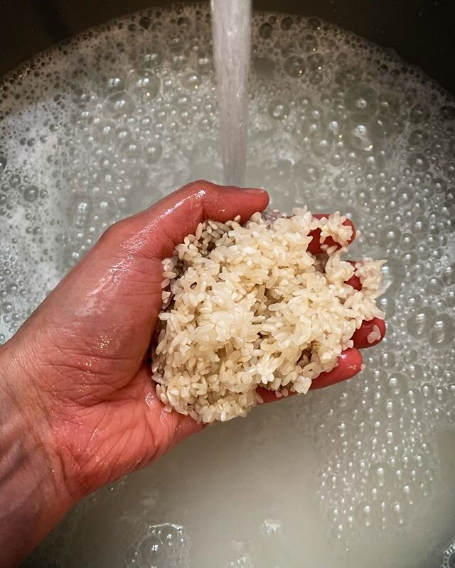 Rice vinegar, starts with rice.
#rice #vinegar #sake #madebykeepwell #koji #fermented #fermentation #fermentedfoods #localfood #supportlocal #ingredients 
#carolinagoldrice #koshihikari