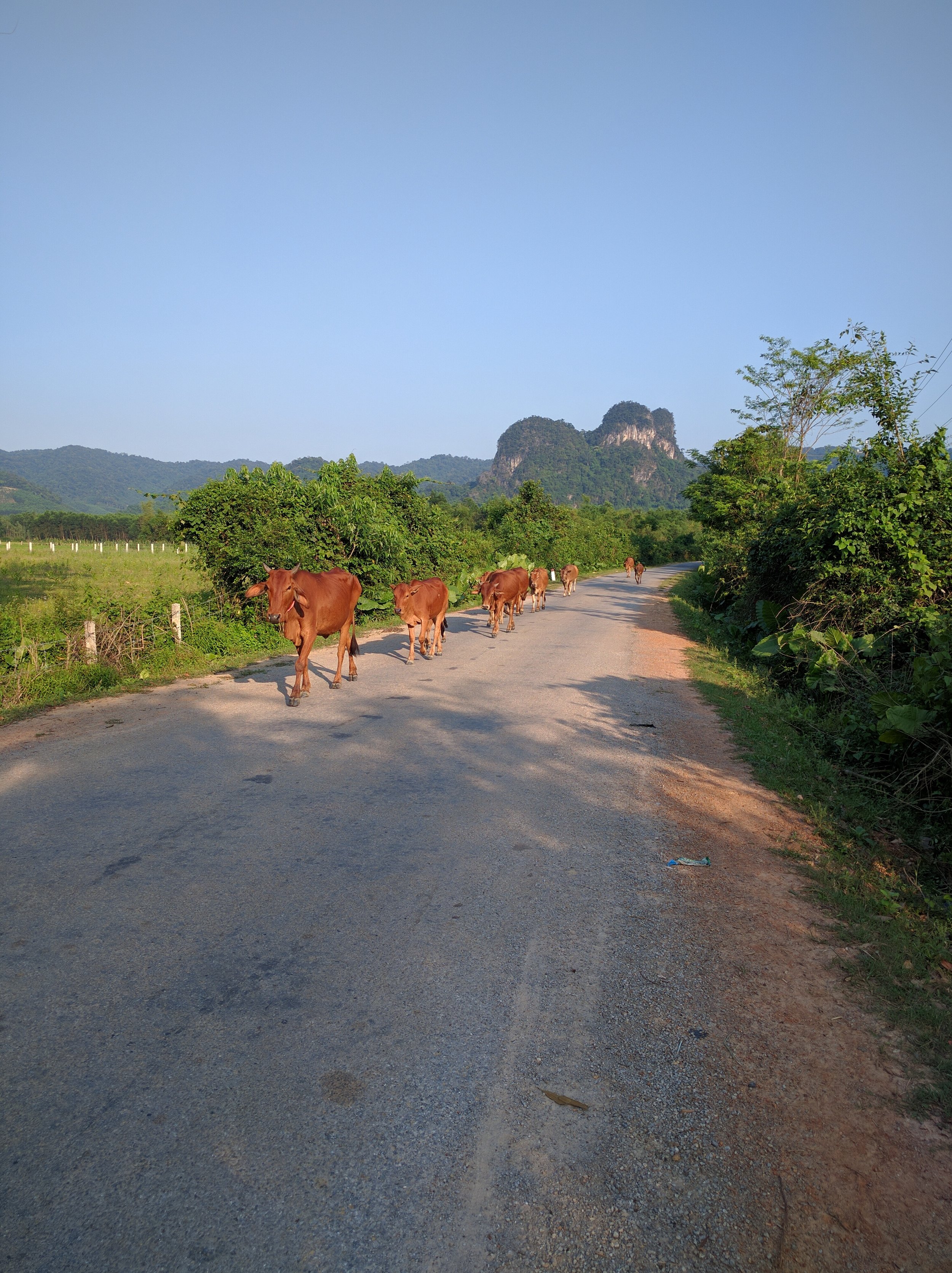 Traffic Jam