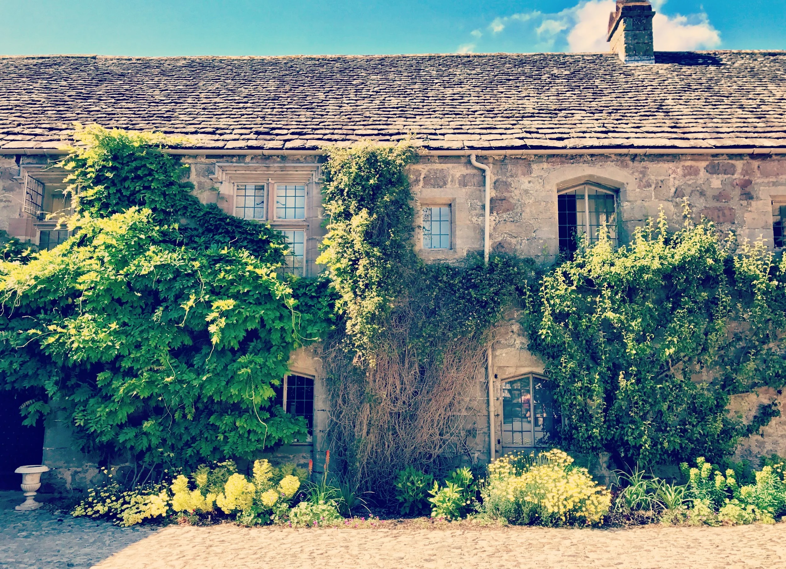 Travel Photography — Meserve Reserve