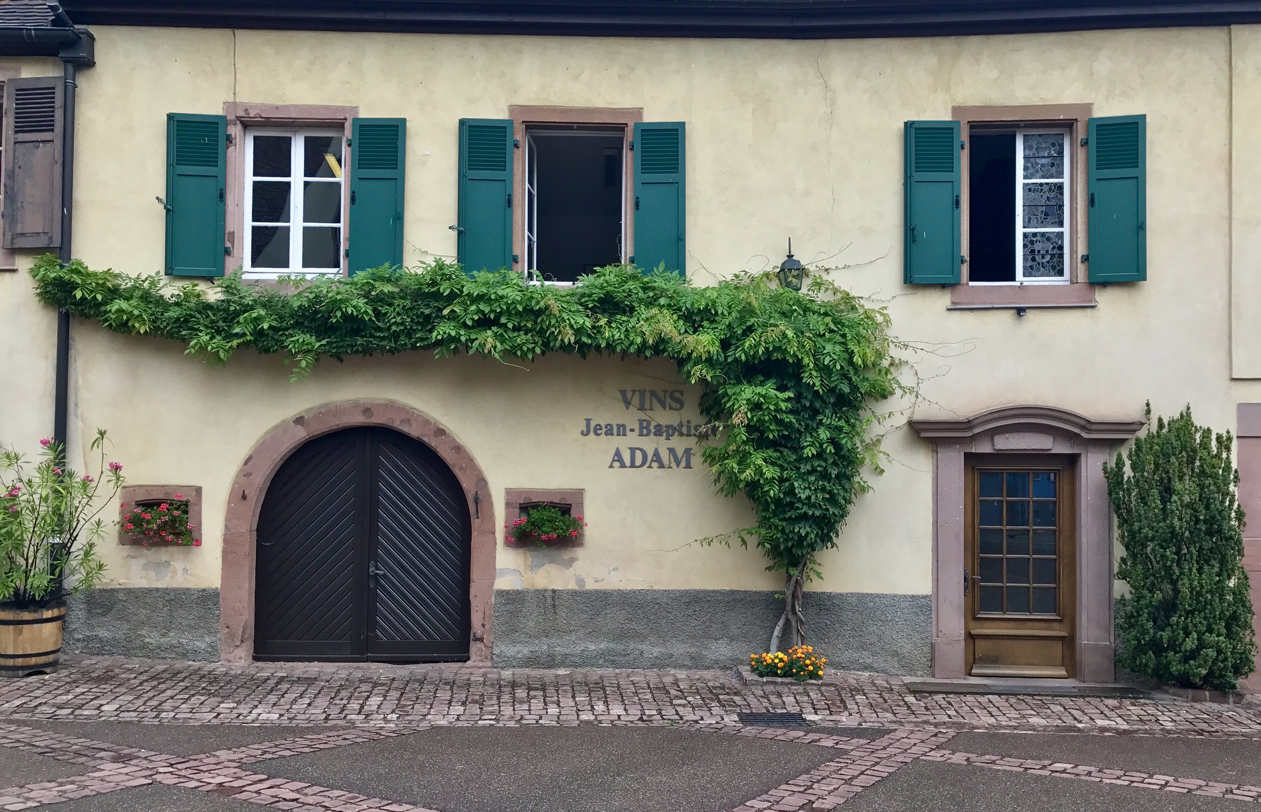 Cellar Room at Vins Jean-Baptiste Adam