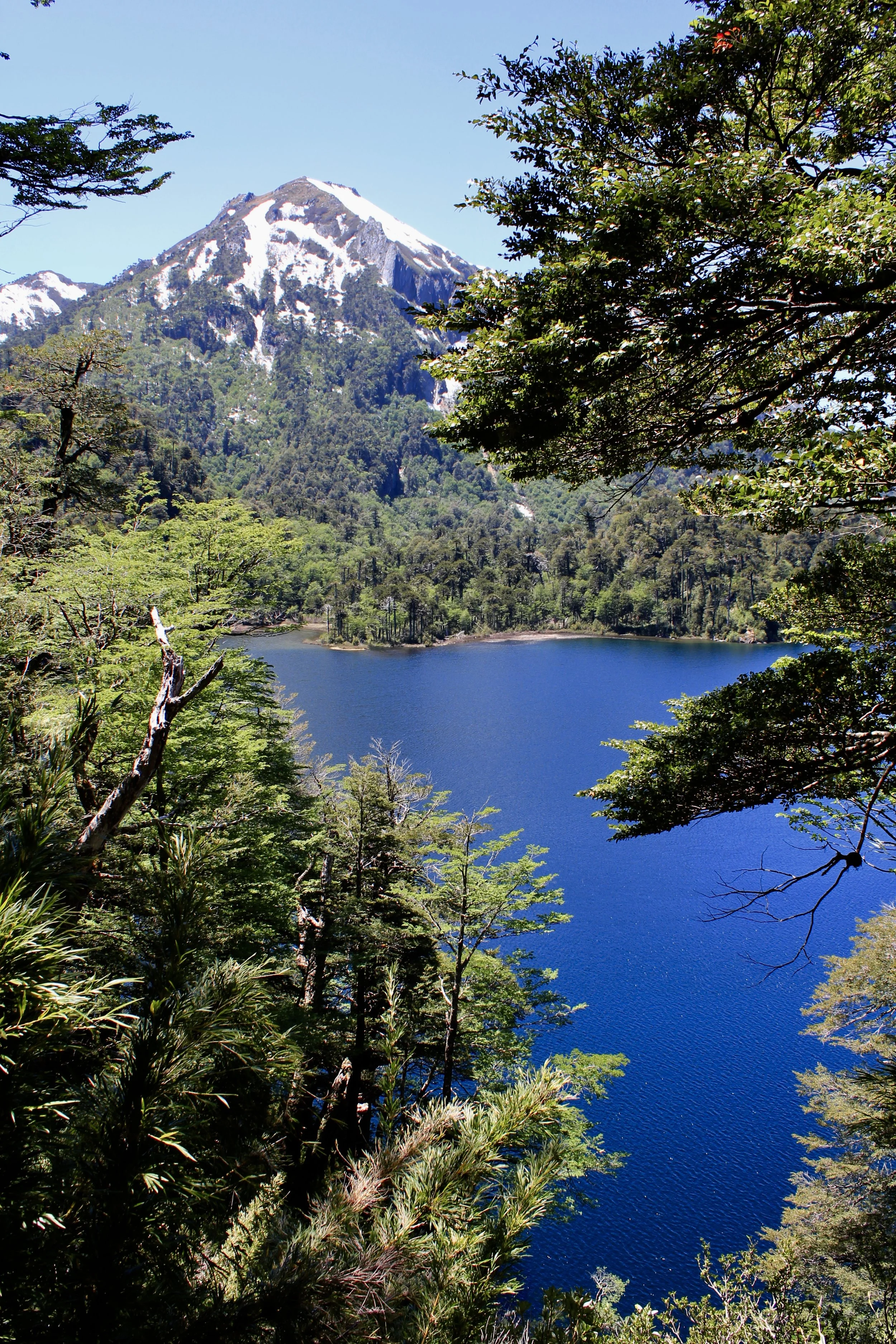 A Stunning Hike On The Los Lagos Trail In Huerquehue National Park Near Pucon, Chile