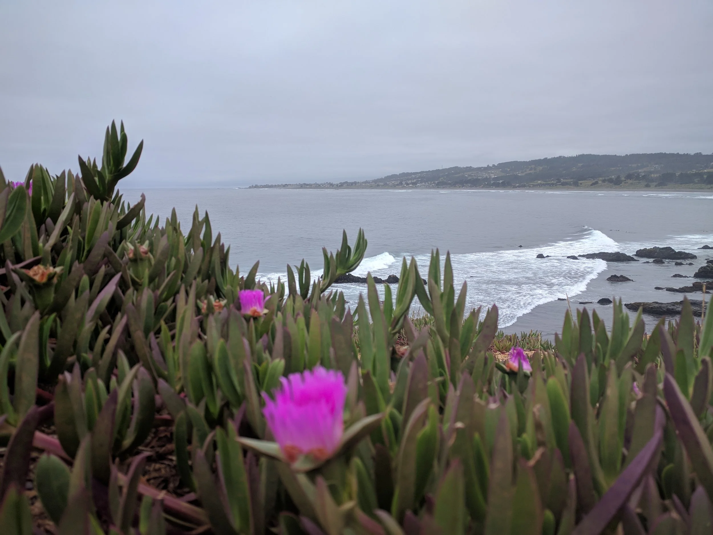 Thoughts And Reflections On Seven Weeks Of Touring Chile
