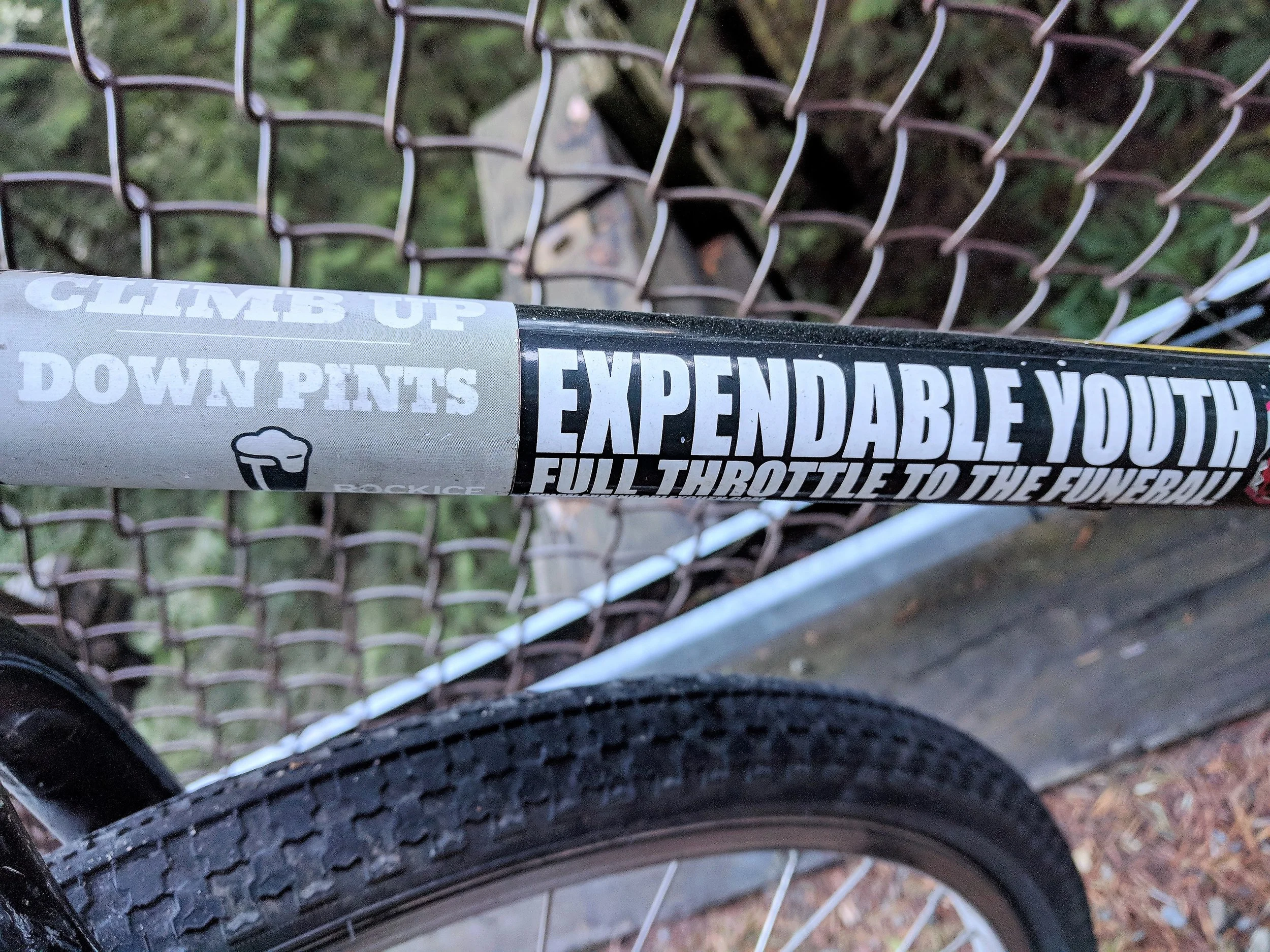 Stickers on the bicycle my brother loaned me: Climb up, down pints -- Expendable youth, full throttle to the grave! :)
