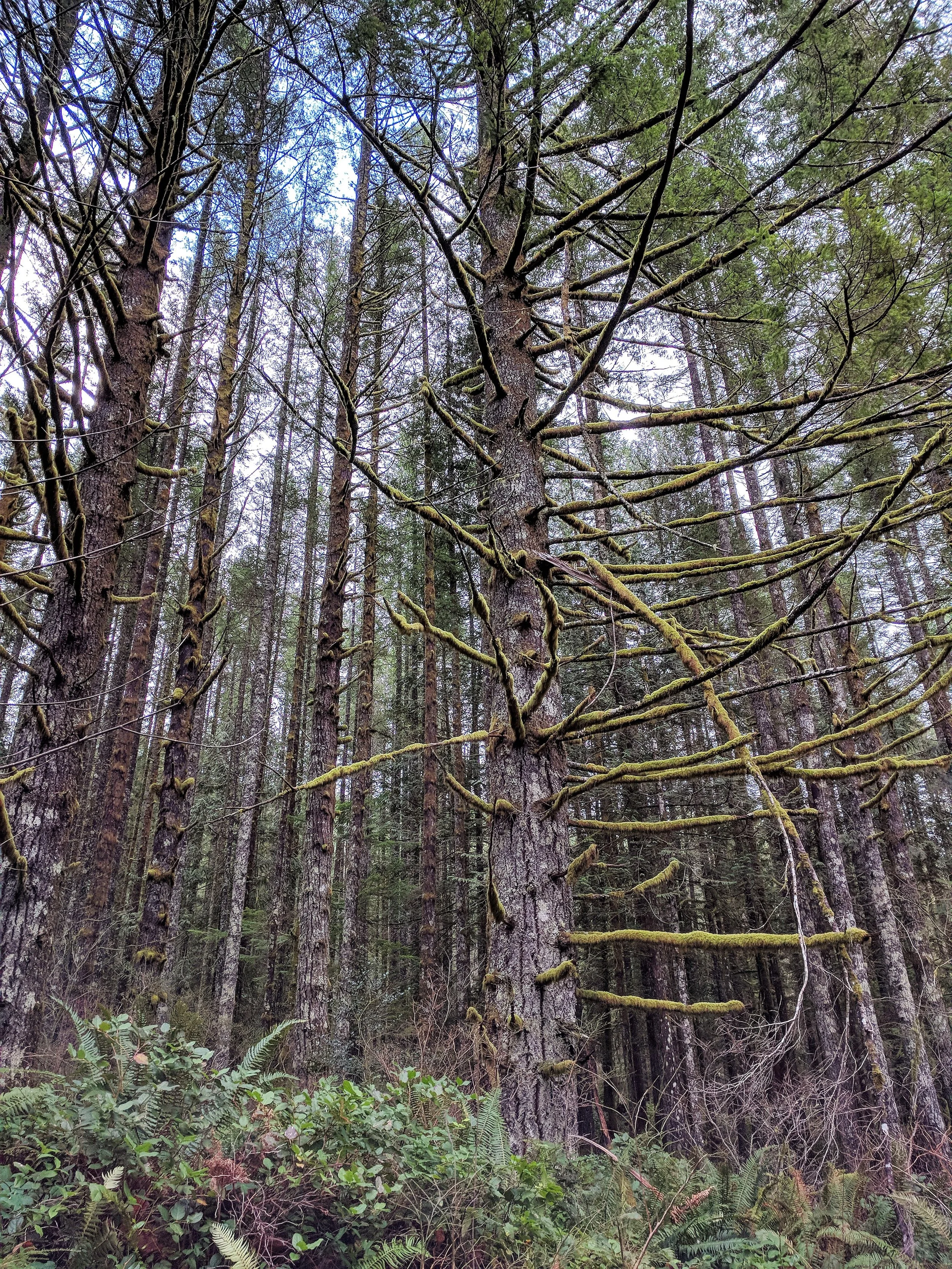 Hiking And Biking On The John Wayne Pioneer Trail In Washington State