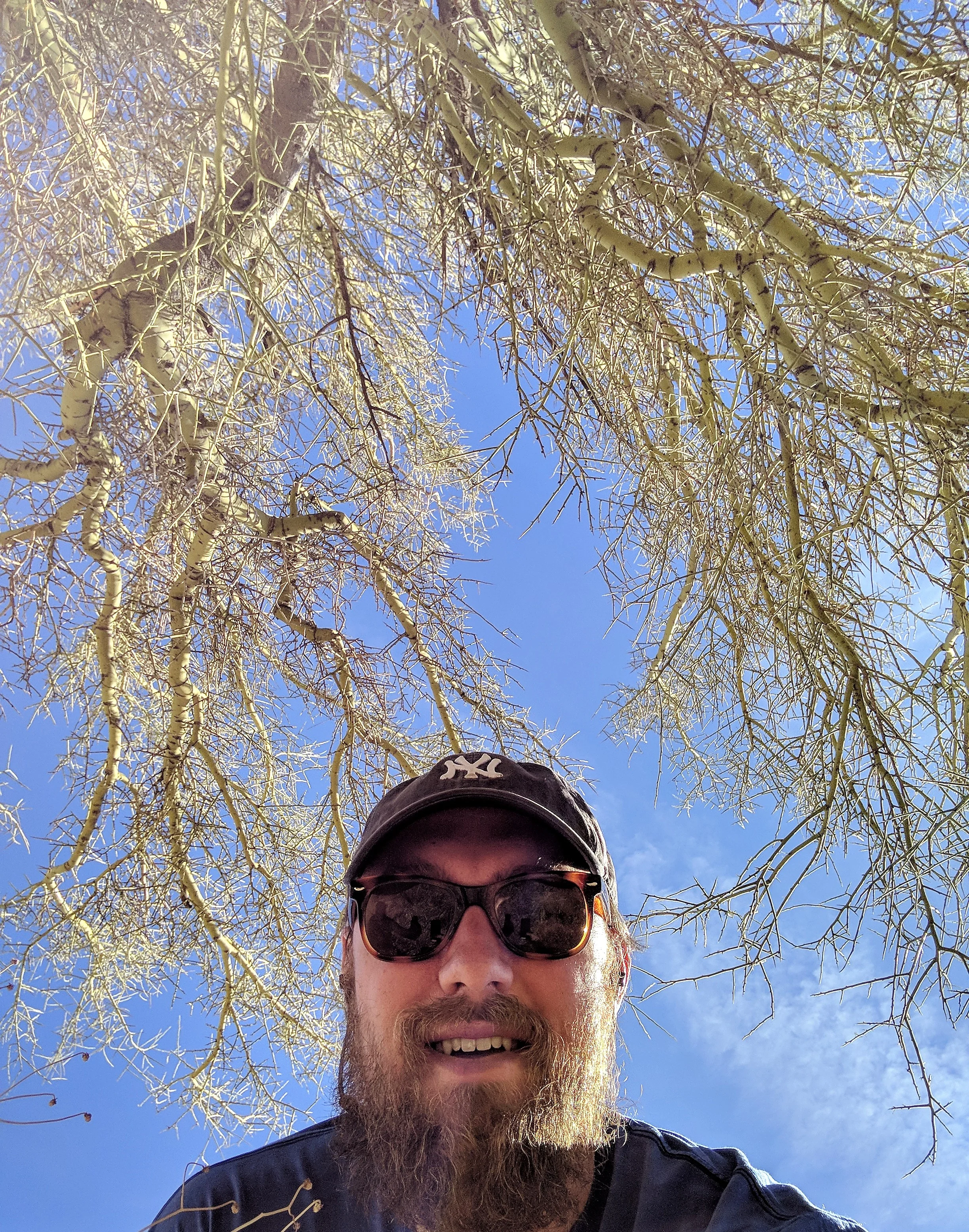 IMG_20180115_113112.jpg