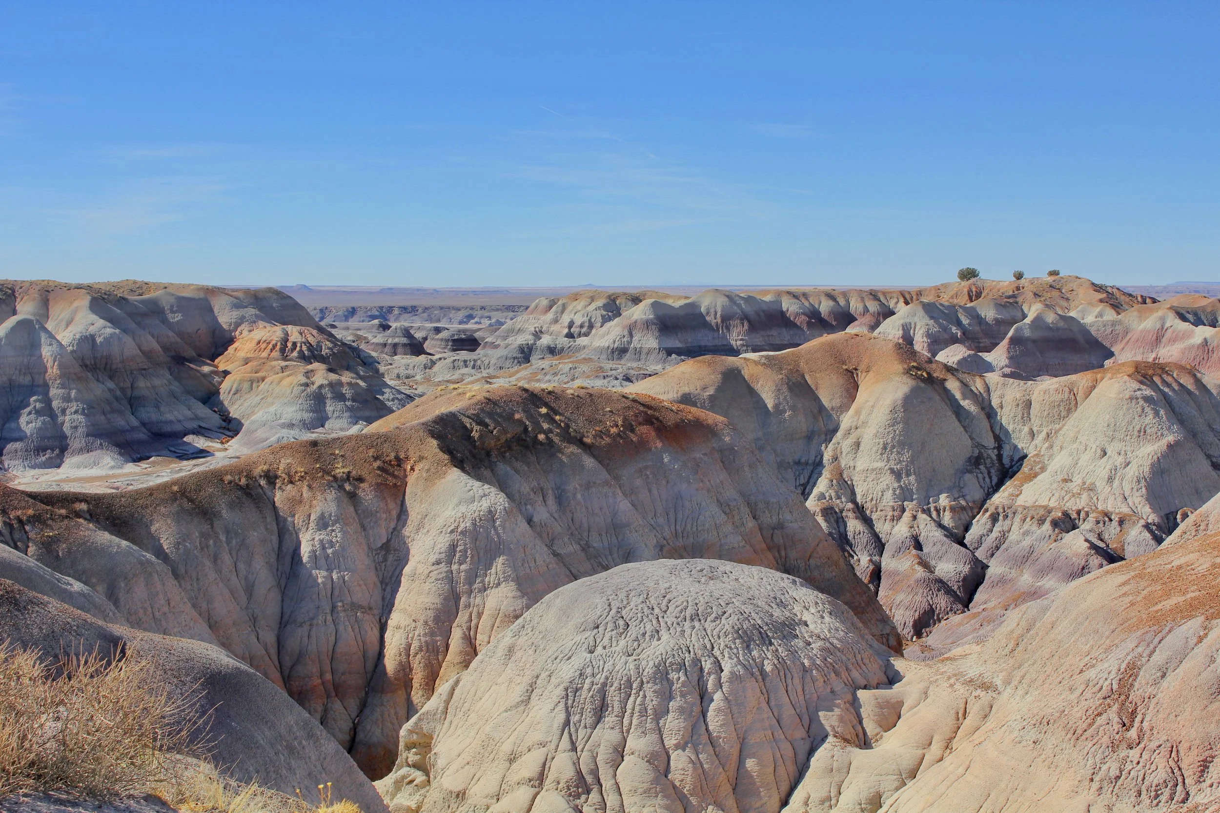 An Unplanned Drive Through The Petrified Forest National Park In Arizona -- A Photo Essay