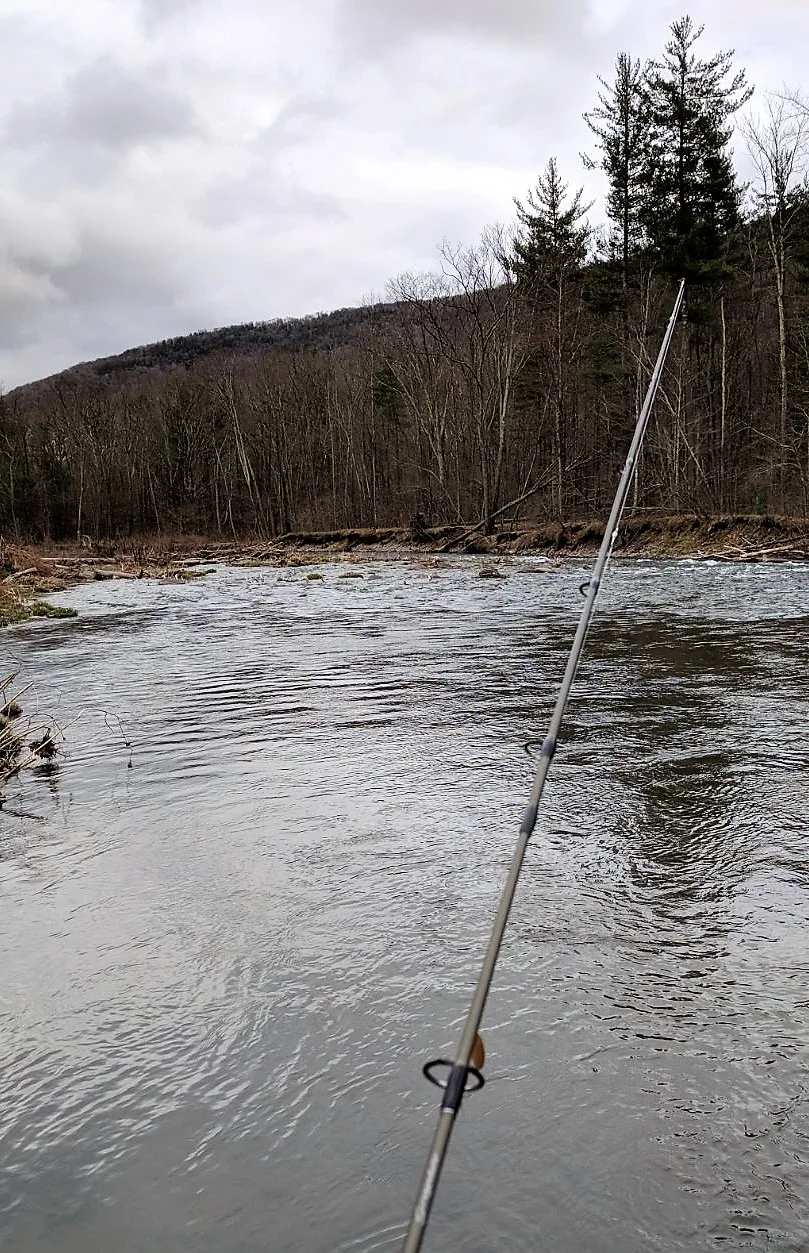 2018-04-29_18-05-43_632.jpeg