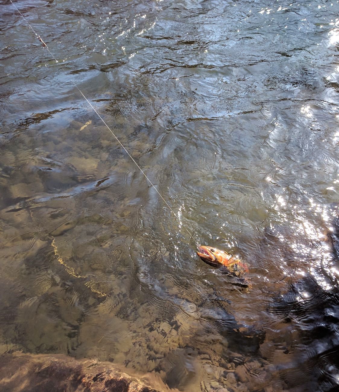 2018-05-01_08-27-24_586.jpeg