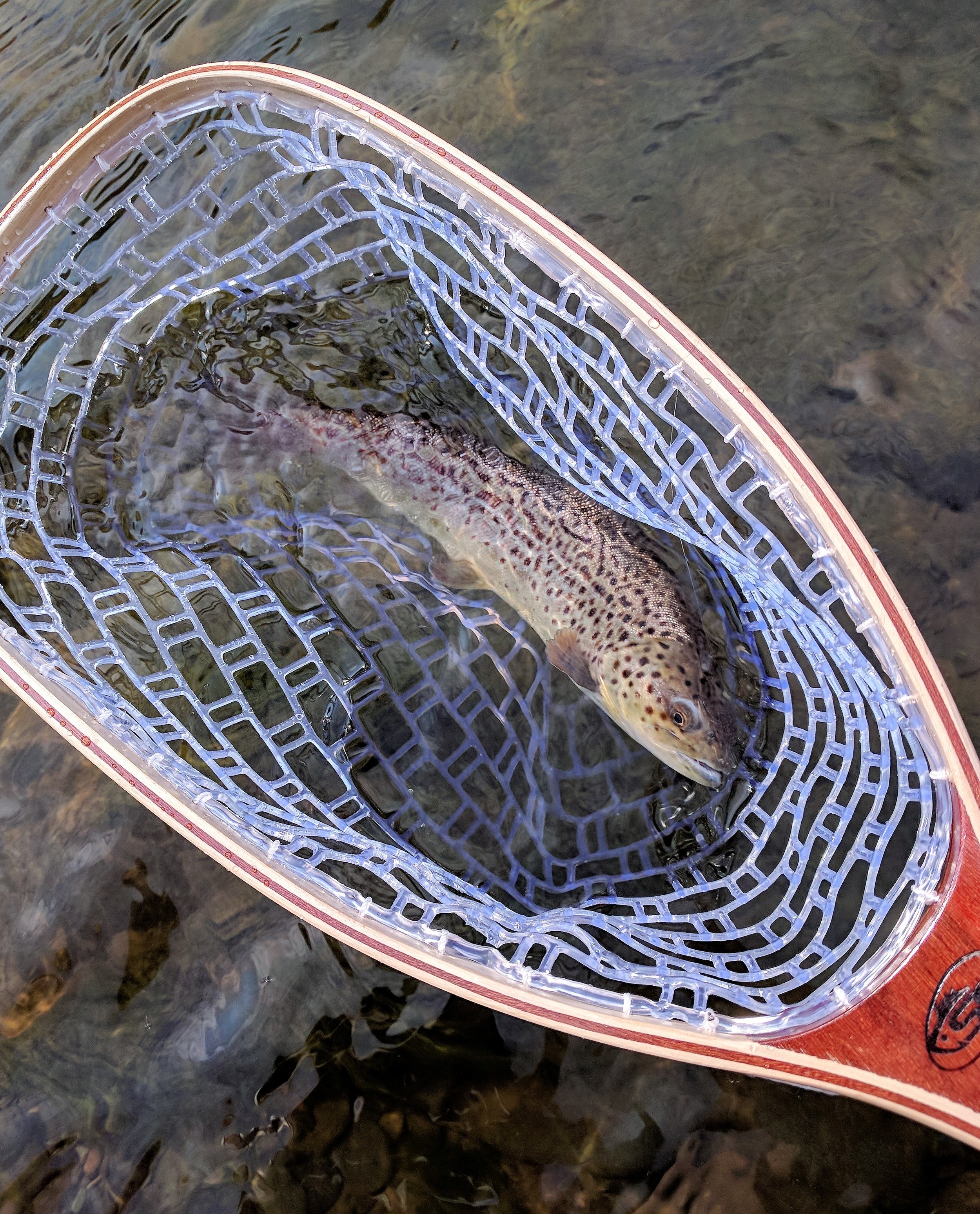 A Beginner's Guide To Fishing The Esopus Creek In New York's Catskills —  Meserve Reserve