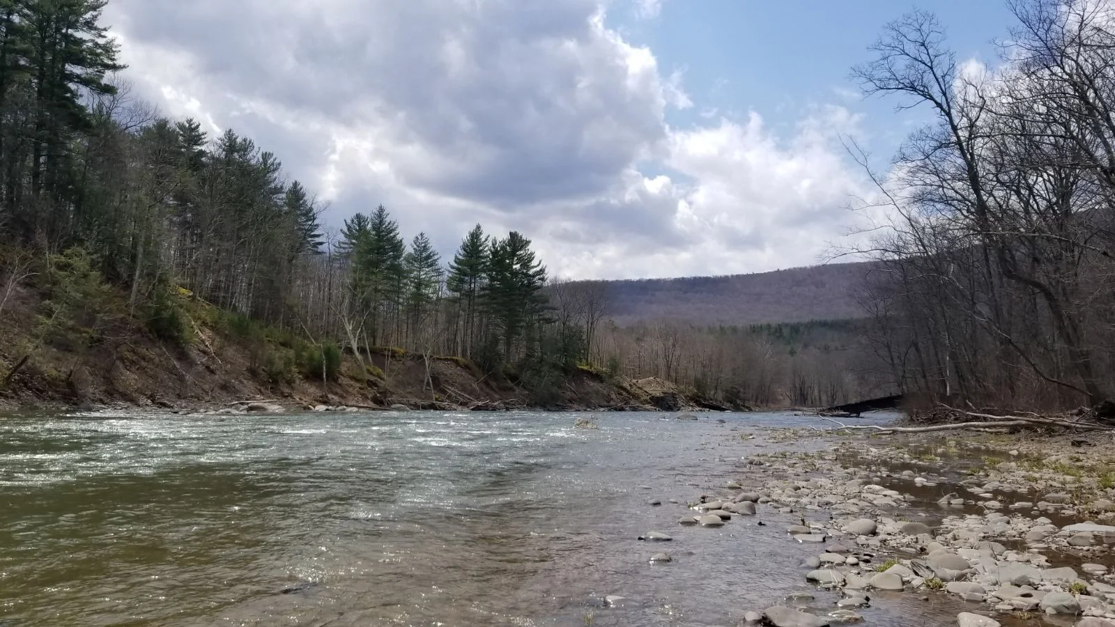 IMG-20180429-WA0001.jpg
