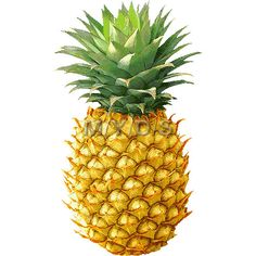 pineapple+clipart.jpg