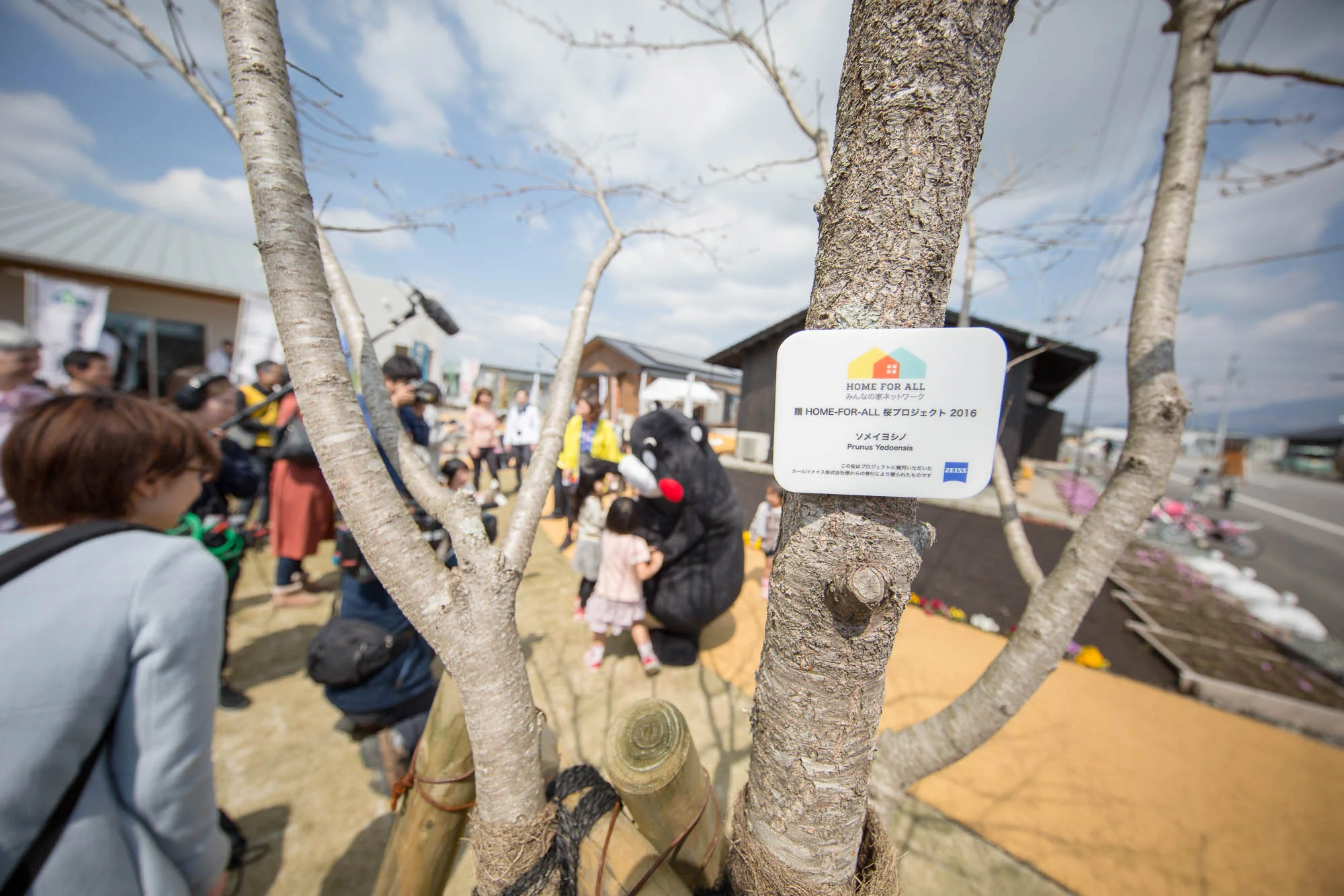 一本一本の木にプレートが取り付けられます