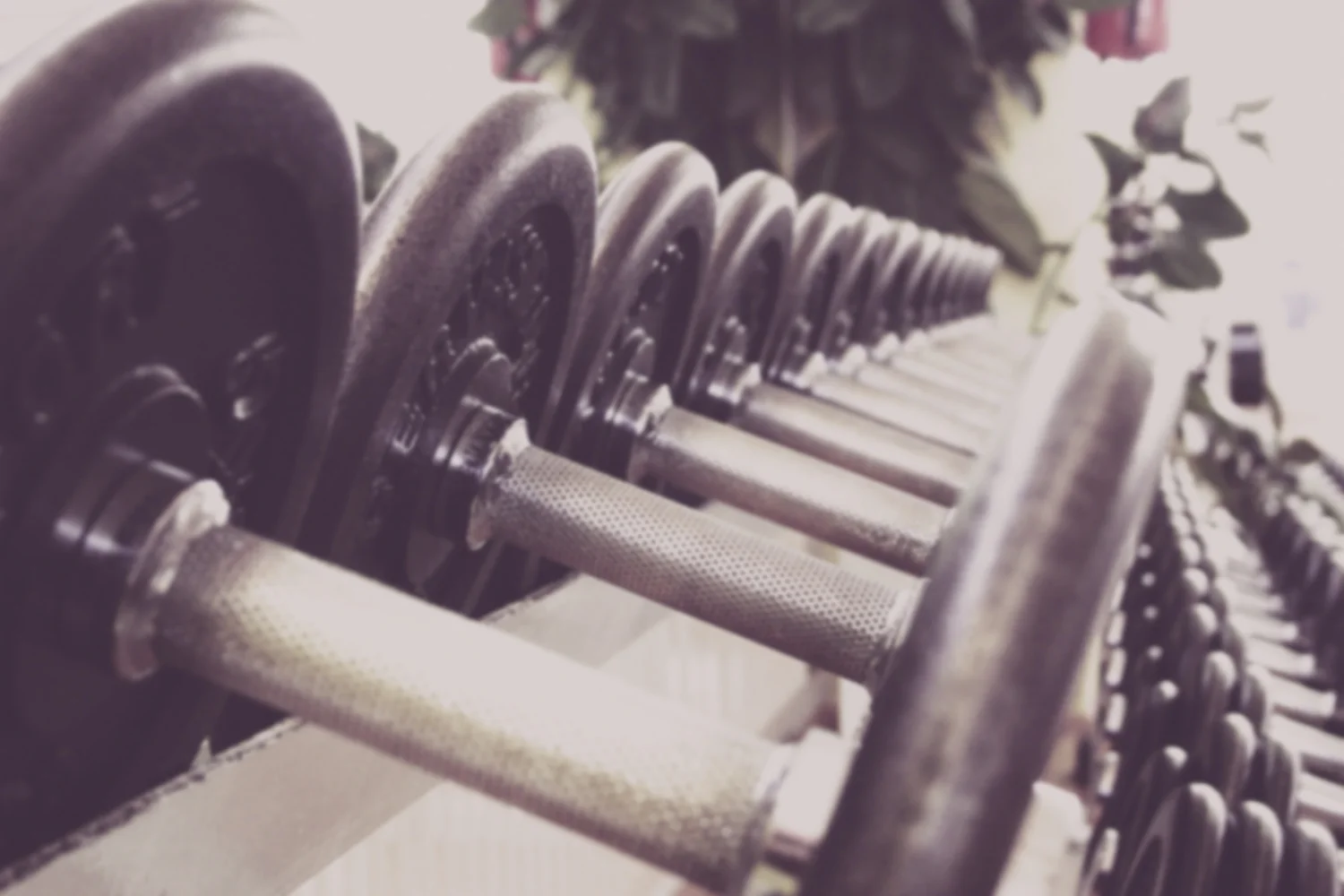 dumbells.jpg