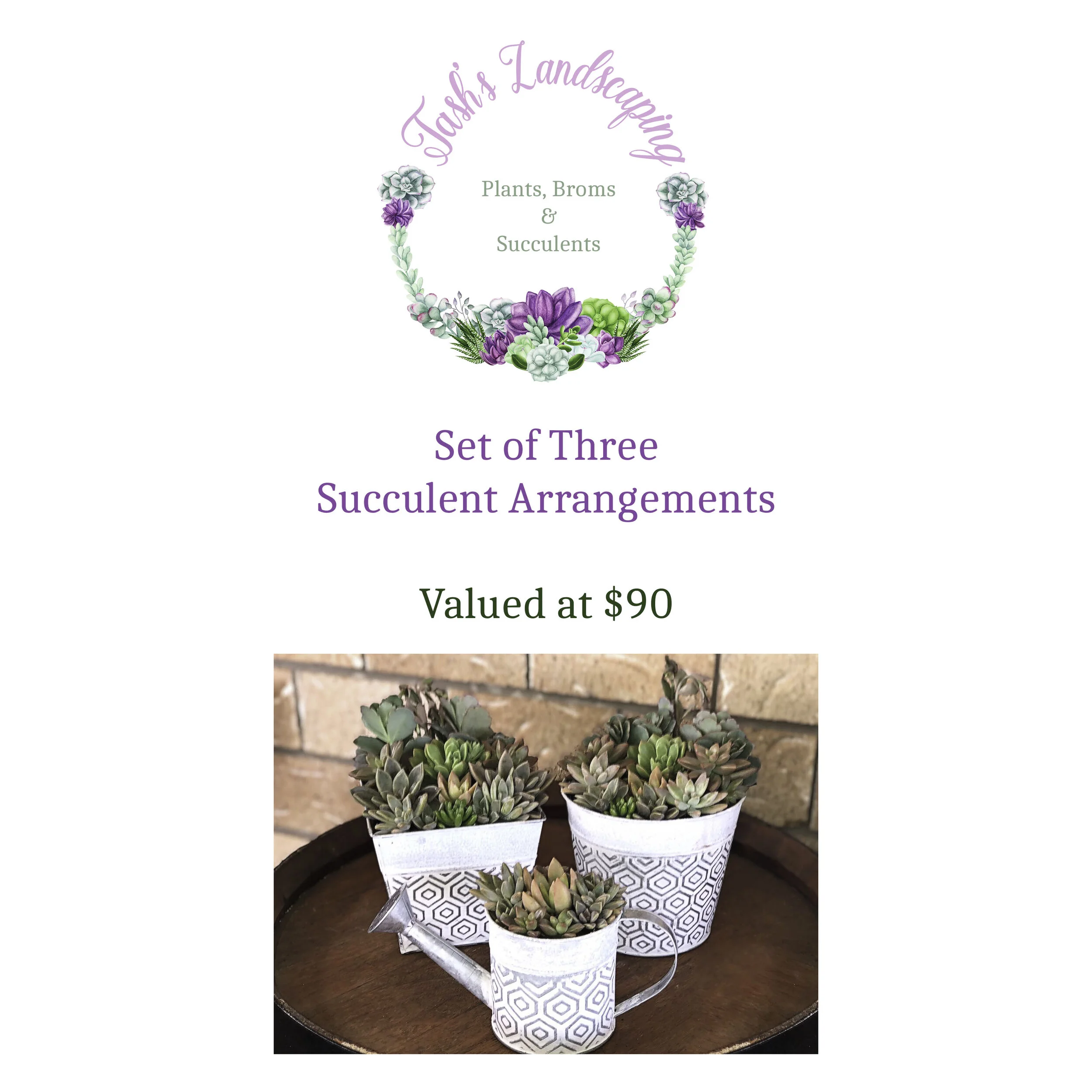 succulents tash.jpg