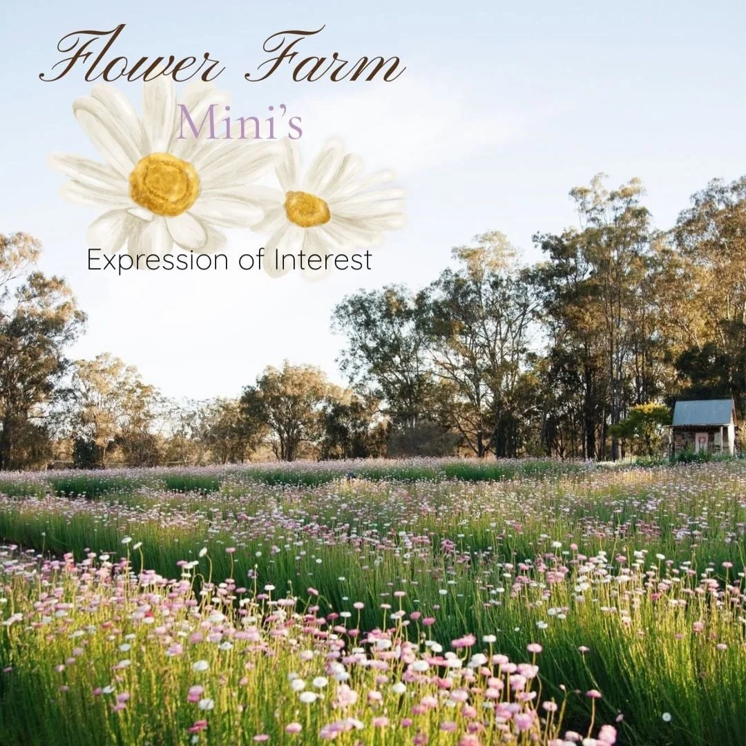 I&rsquo;ve been invited to Wild Acres Flower Farm (out near Grantham) to host some Mini Sessions! These are very limited and will happen during September. Dates are still being finalised. There will only be 9 sessions available over 3 days. (Likely T