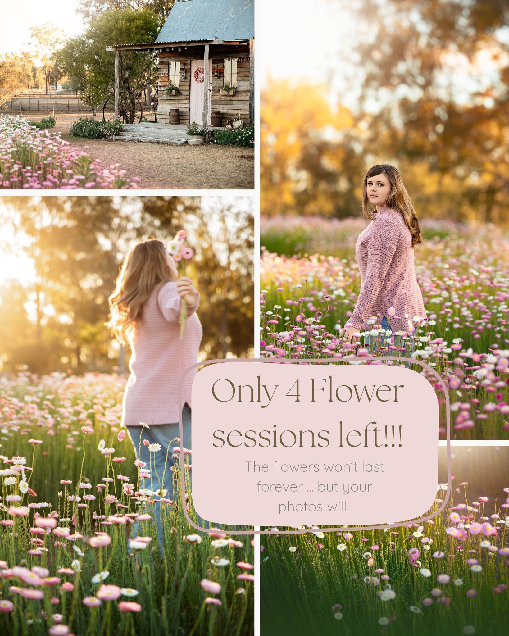 Perhaps you&rsquo;ve run out of time for a full family session&hellip;

Maybe life got busy. Maybe the year disappeared. Maybe you kept thinking, &ldquo;We really need to get some updated family photos&hellip;&rdquo; and suddenly it&rsquo;s September