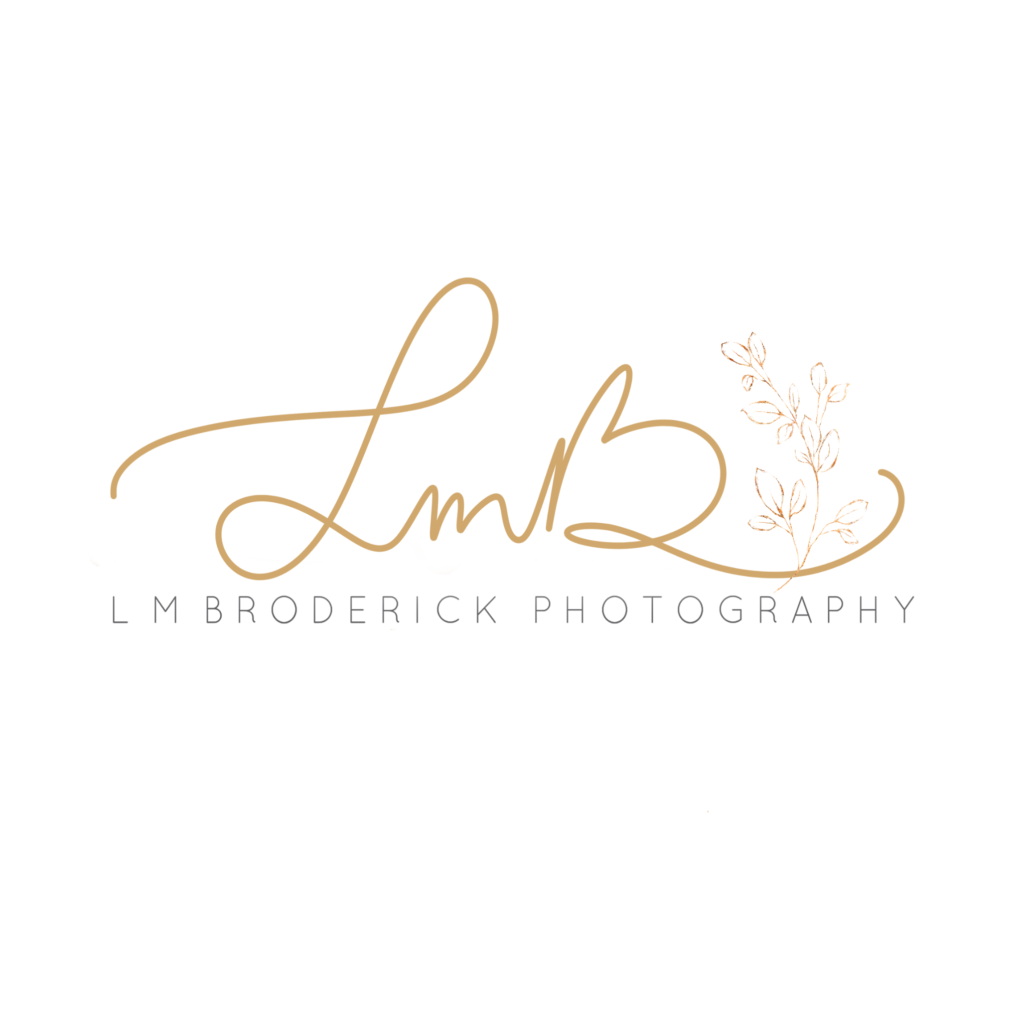 image of lmbroderick photographys logo who is located in fernvale qld