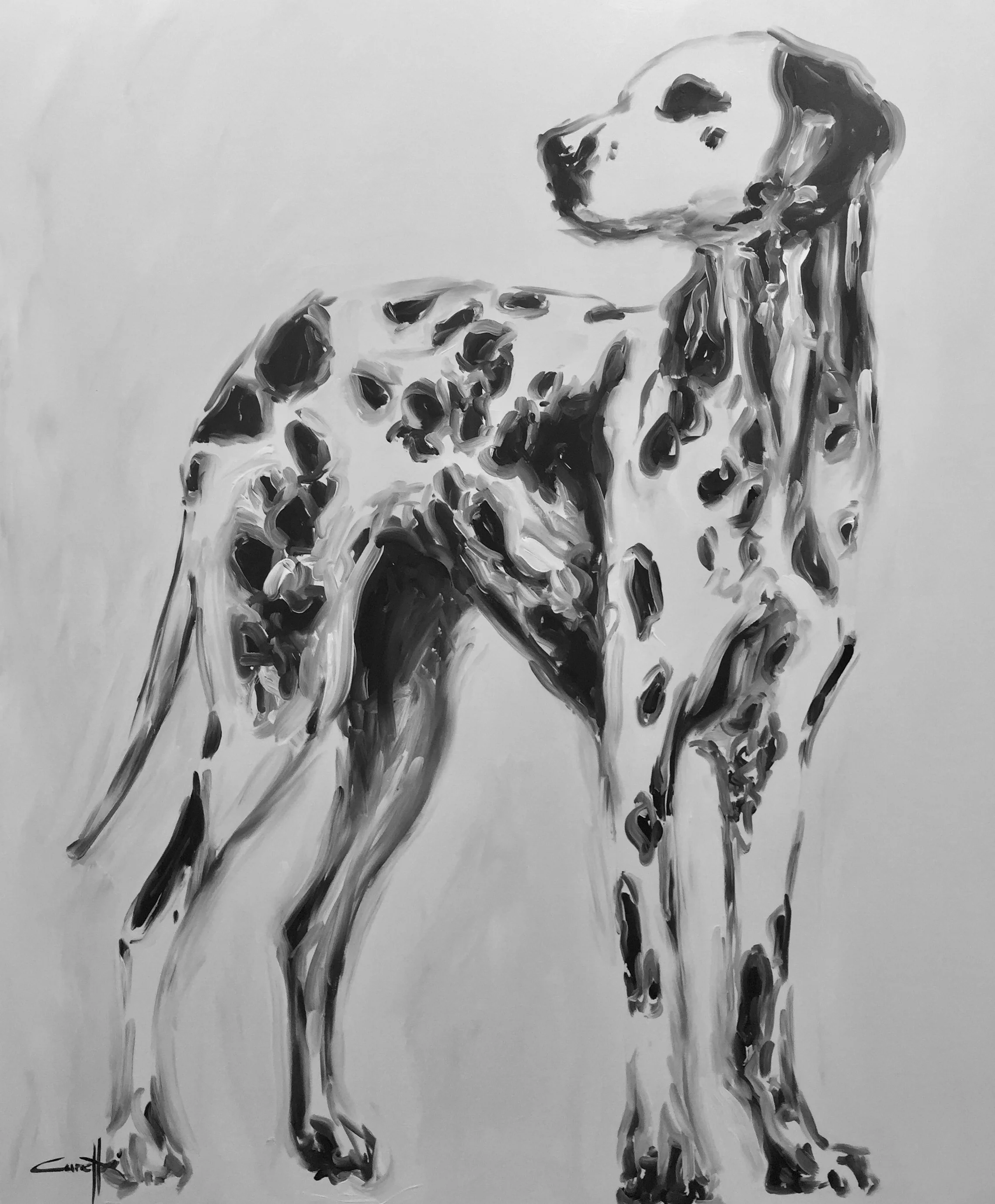 Michel Canetti - The Dalmatian