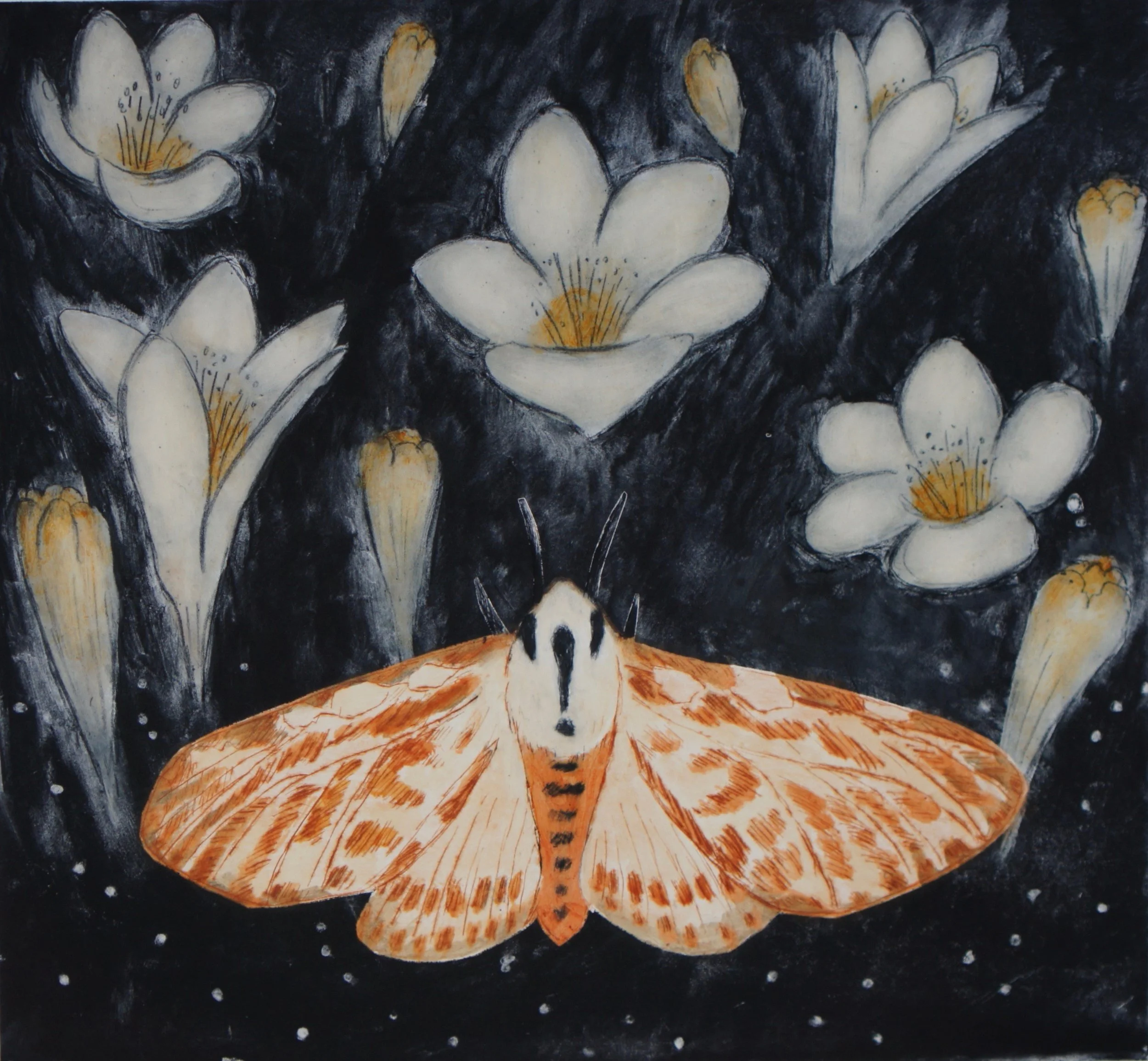 Scent of the Freesias