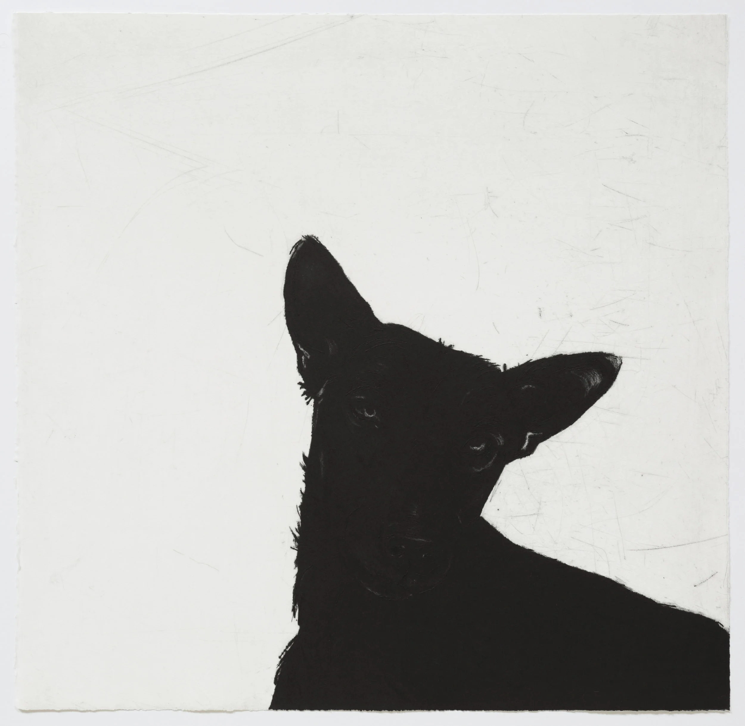 Differences in Degree