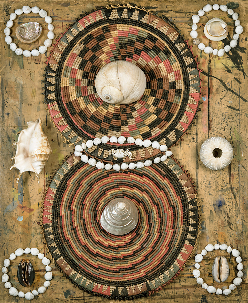 On My Father's Drawing Board: Shells