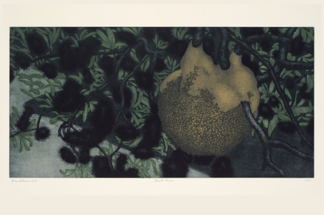 Sleeping Bag