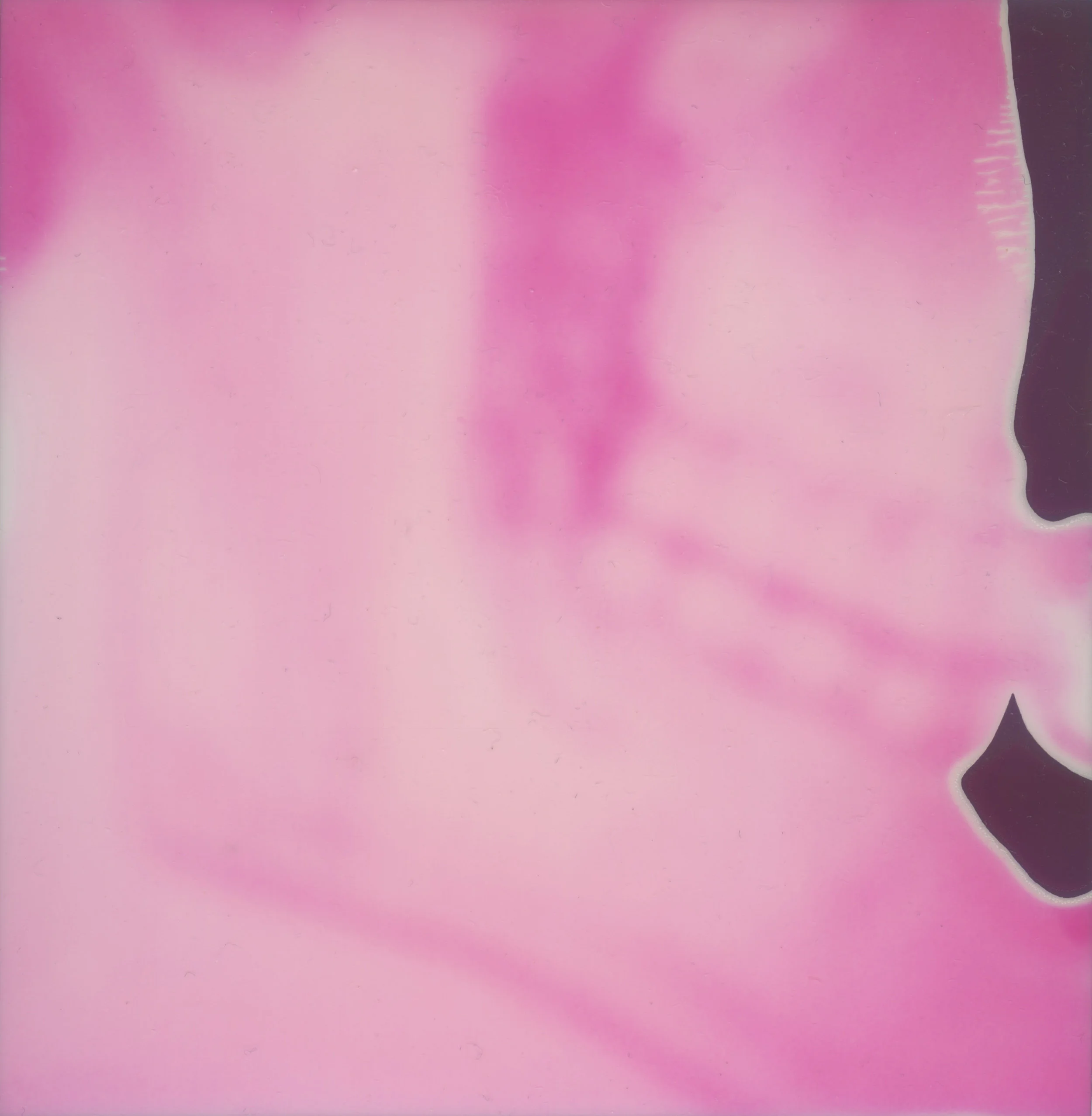 Travis Paterson_Entropy.jpeg