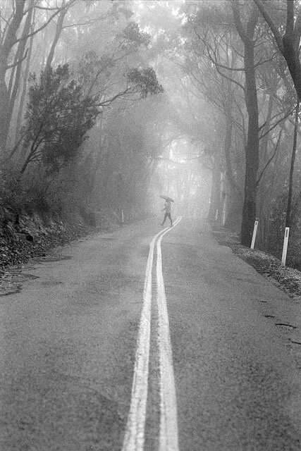 fog with umbrella.jpeg
