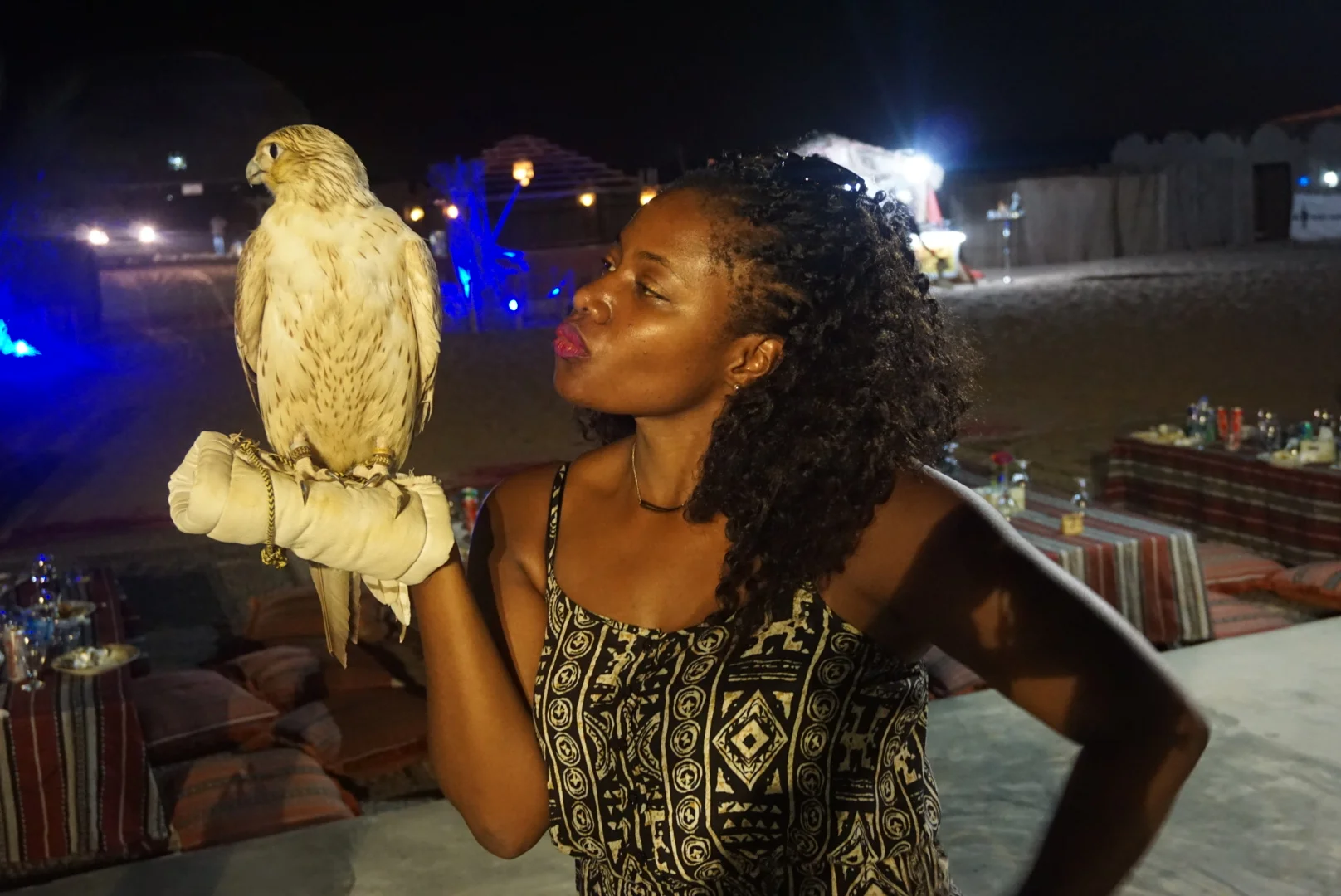 falcon.jpg