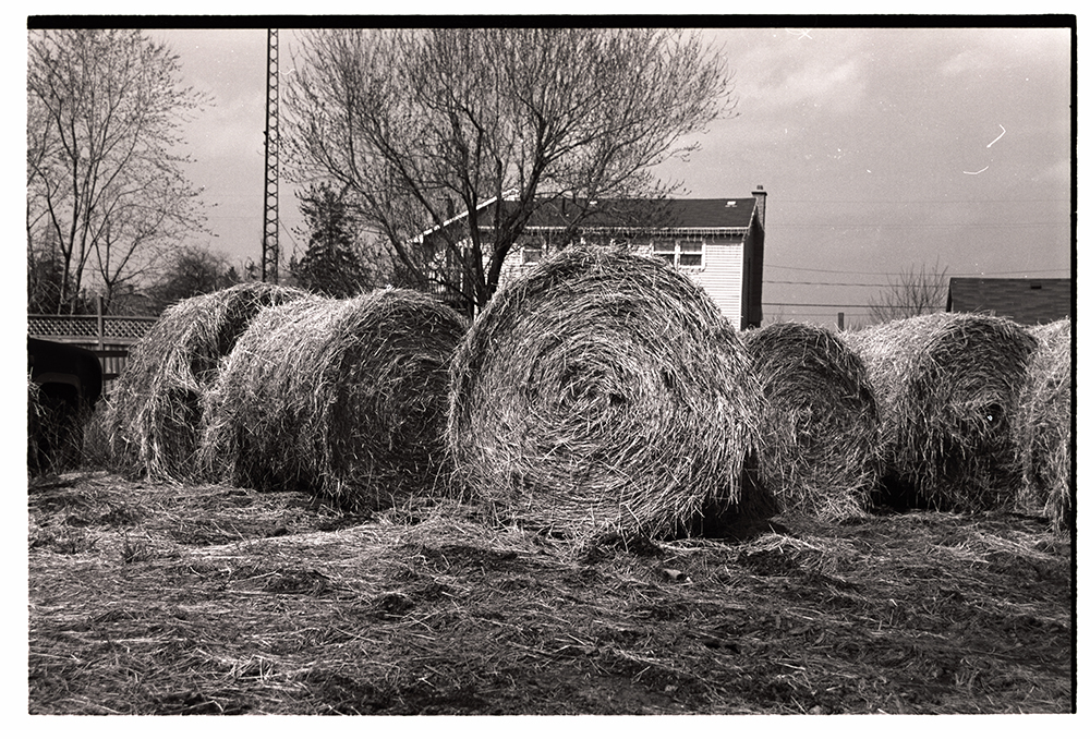 Haystacks. Kodak T Max 400. Notice the imperfection on the image - dust and scratches on the negative - another issue with film photography.