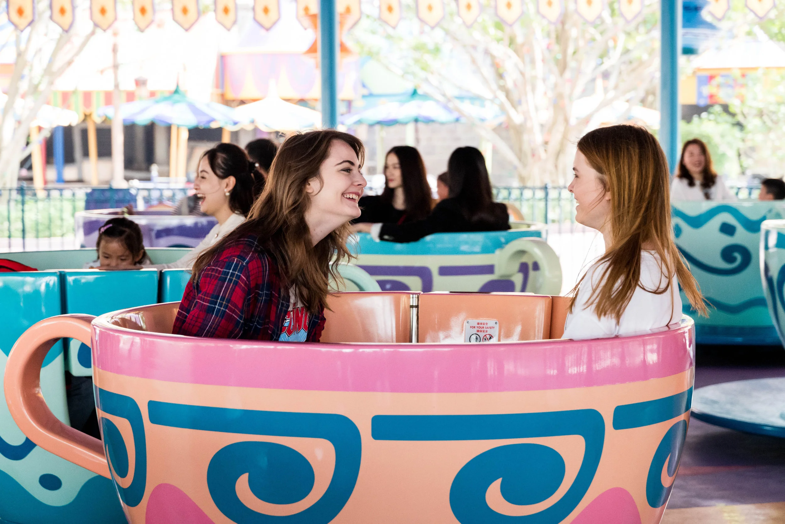Even closer up, and yet the autofocus again locked onto the graphics of the teacup.