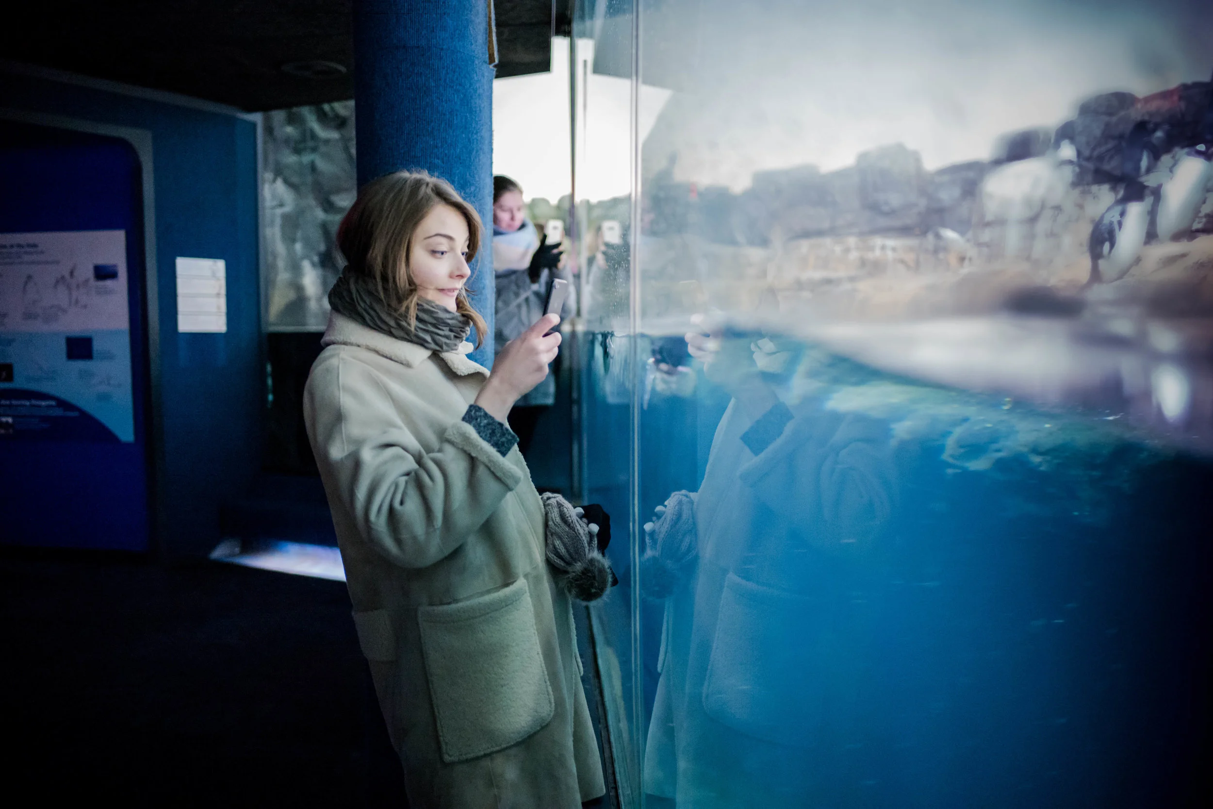 Leica M10 + Leica 28mm f/1.4 Summilux - The Penguin Habitat at the Central Park Zoo