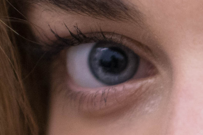 Nikon D800E + 24mm f/1.4G - 200% Magnification