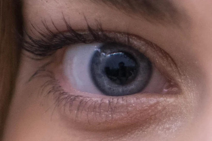 Nikon D800E + 35mm f/1.4G - 200% Magnification