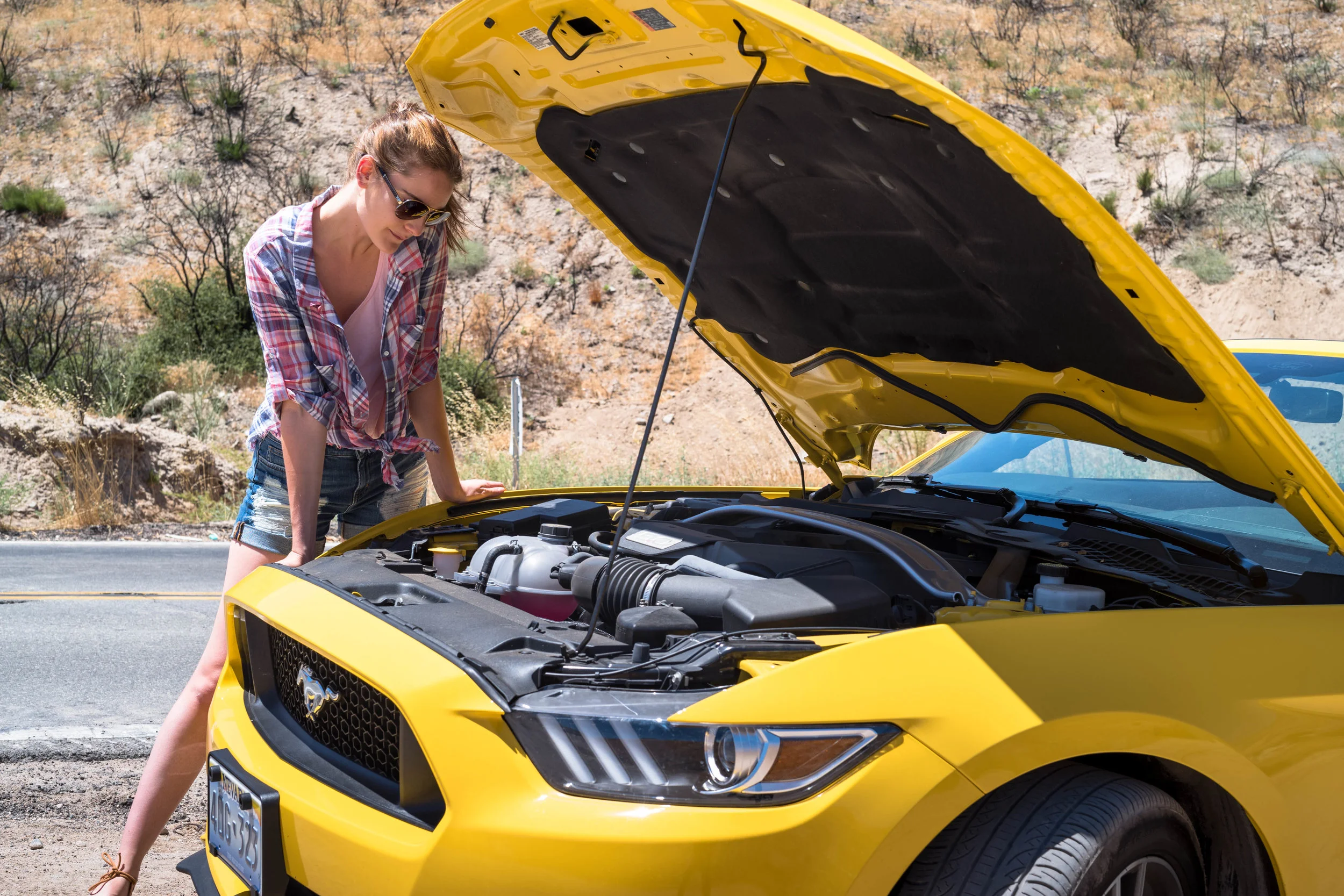 Now checking under the hood. Leica APO 50mm f/2 Summicron ASPH