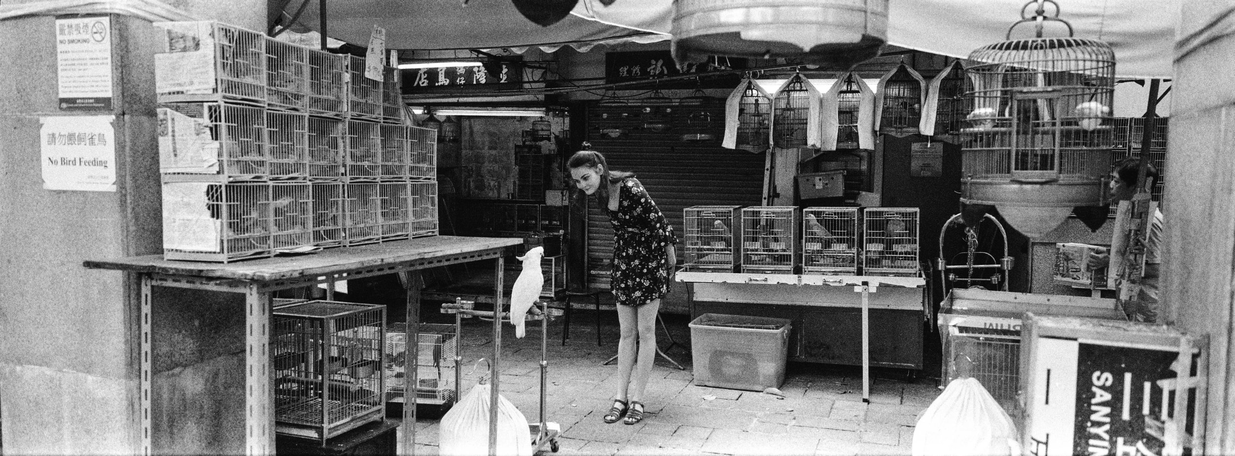 At the bird market in Kowloon - Ilford Delta 3200