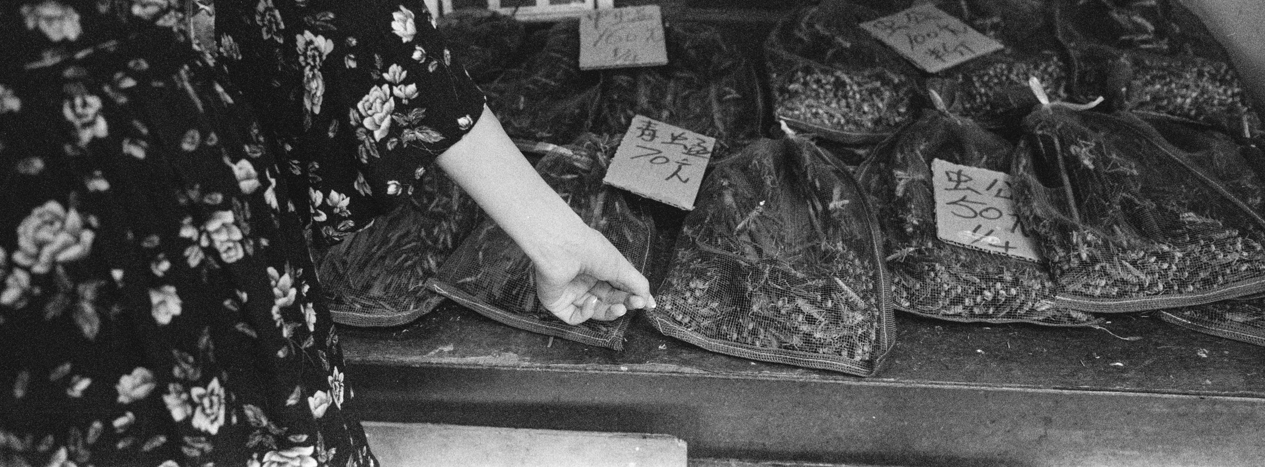 At the bird market in Kowloon - Ilford Delta 3200