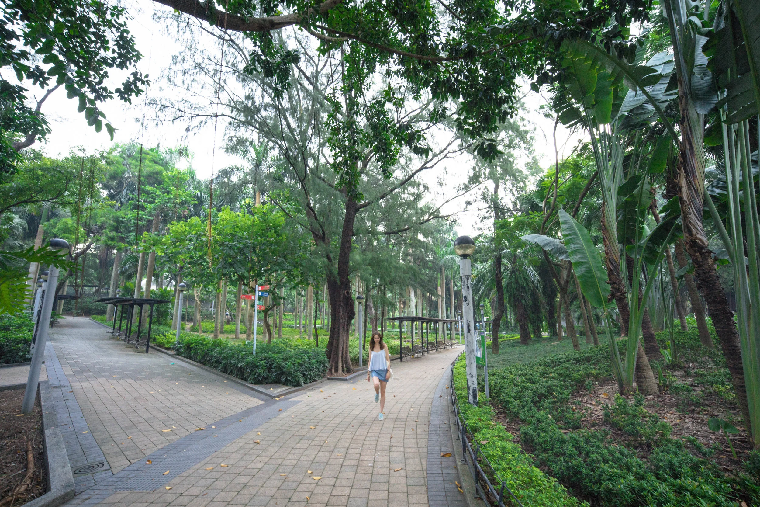 The typical super-wide angle landscape image capture. When the subject is this far and positioned in the center, there is practically no distortion.