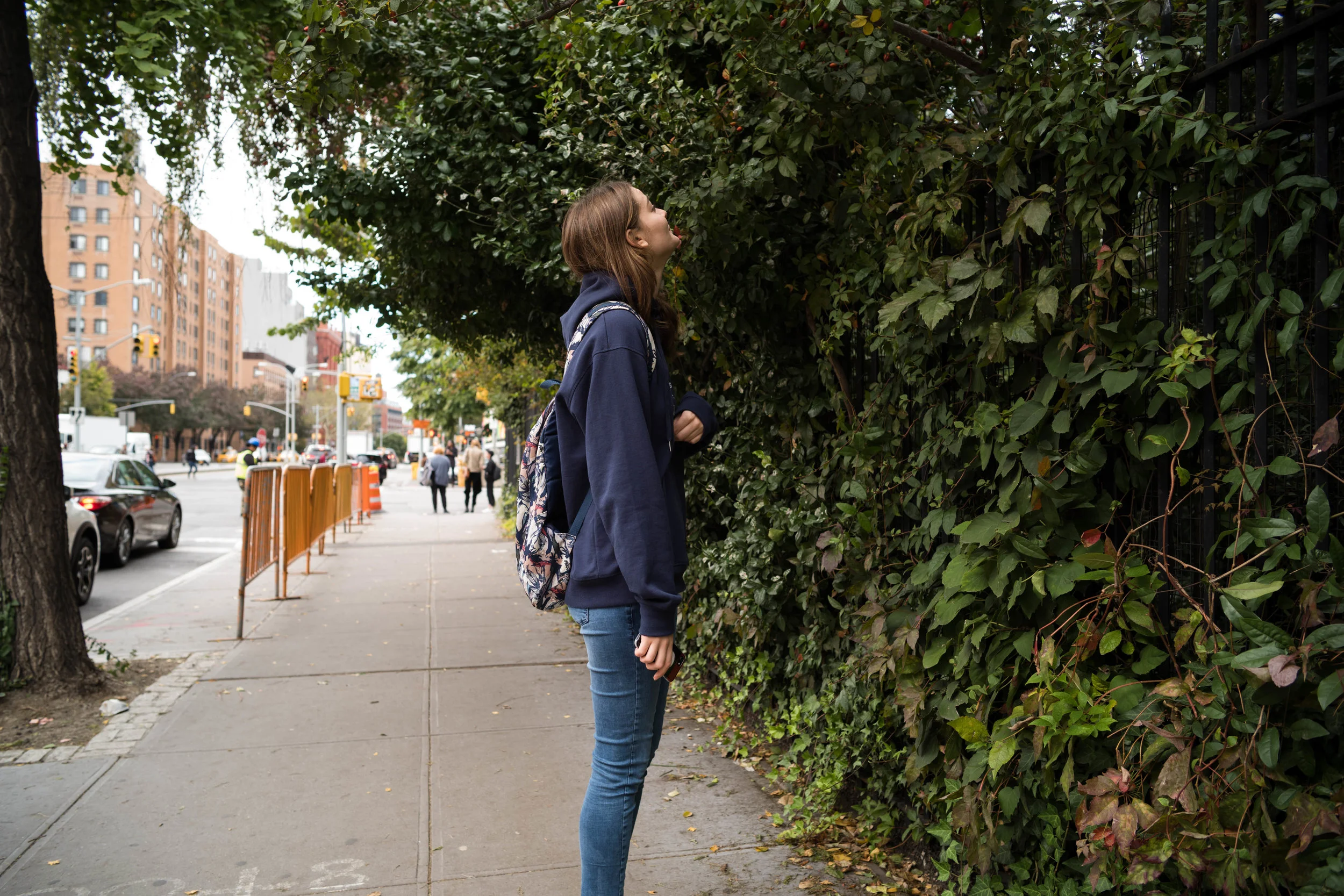 Looking through the ivies into a vacant lot, off Houston Street, on the Lower East Side.