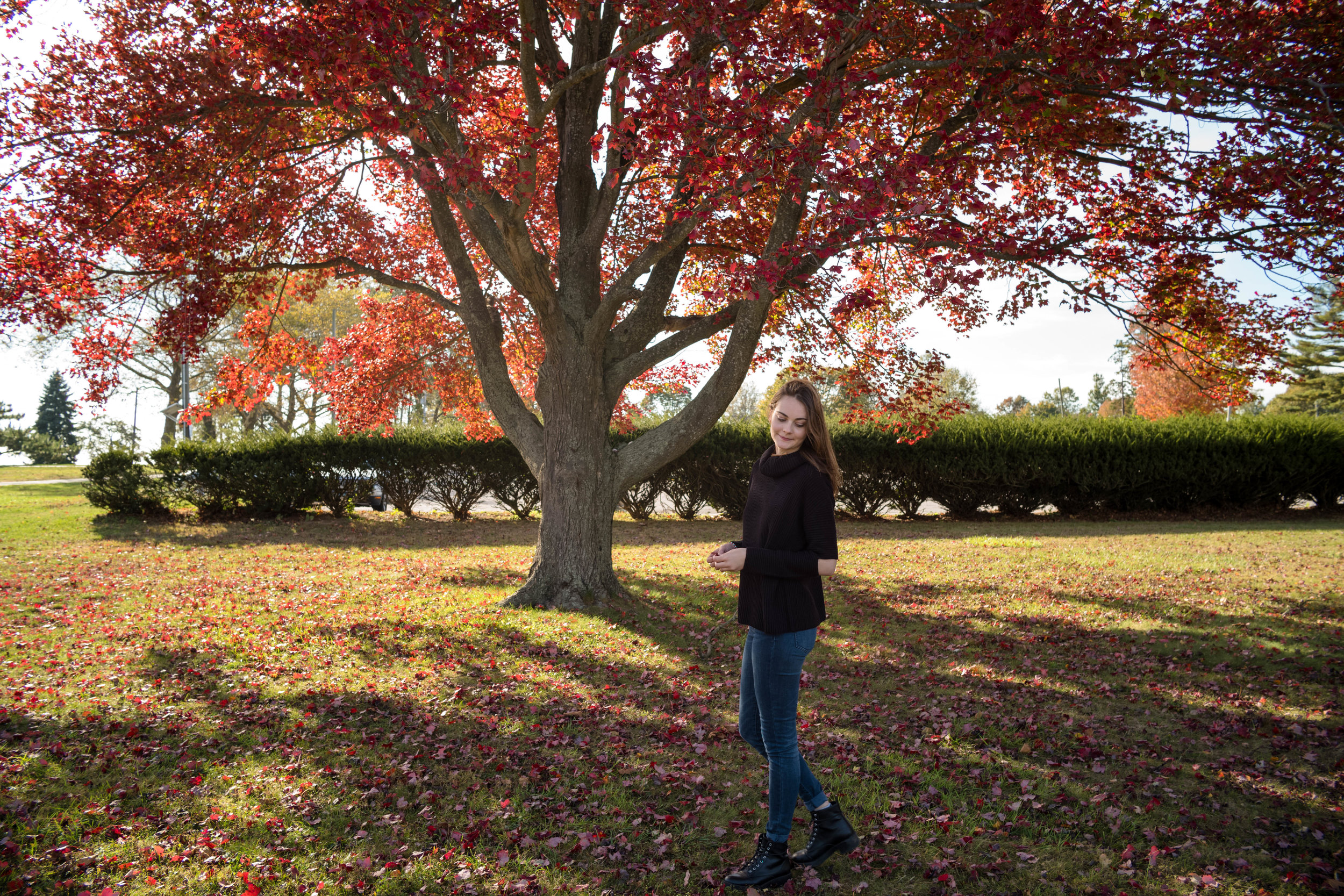 Under a Japanese maple, at Sherwood Island State Park, Westport, Connecticut.