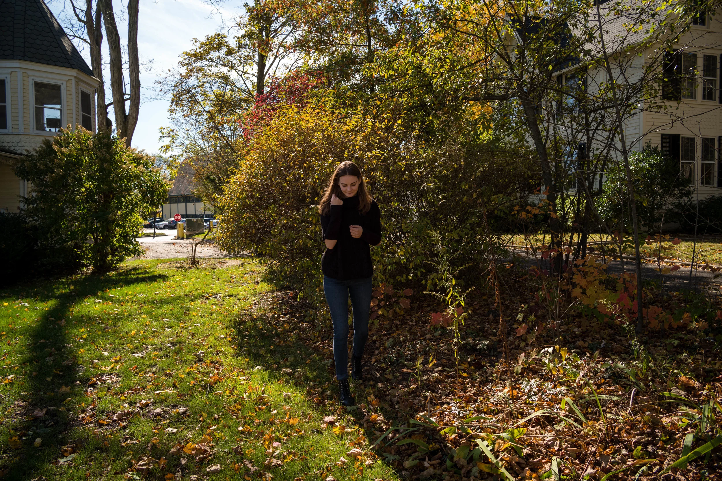 In the bushes, off Main Street, New Canaan, Connecticut.