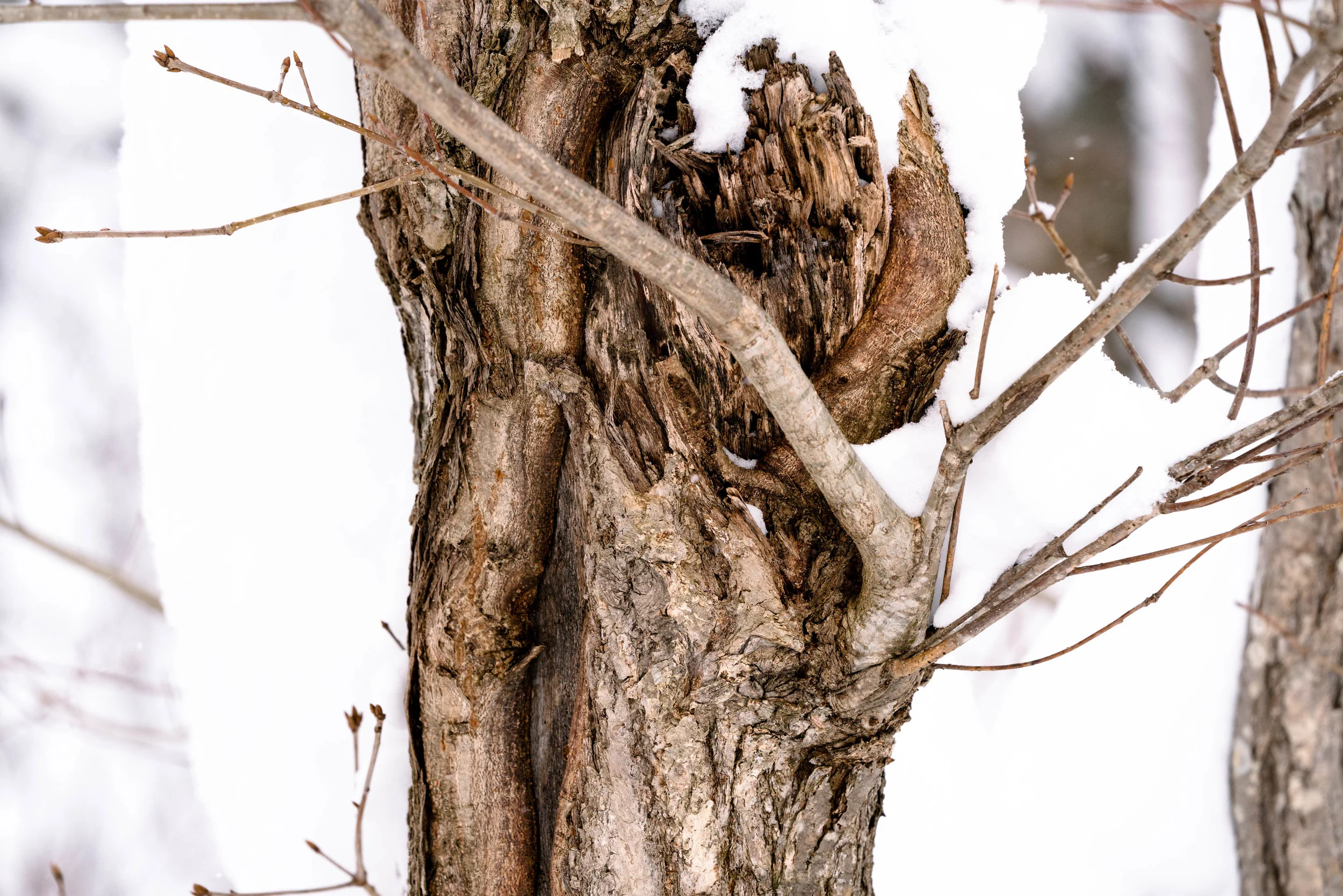 ISO 400, f/5.6, 1/500s, @200mm
